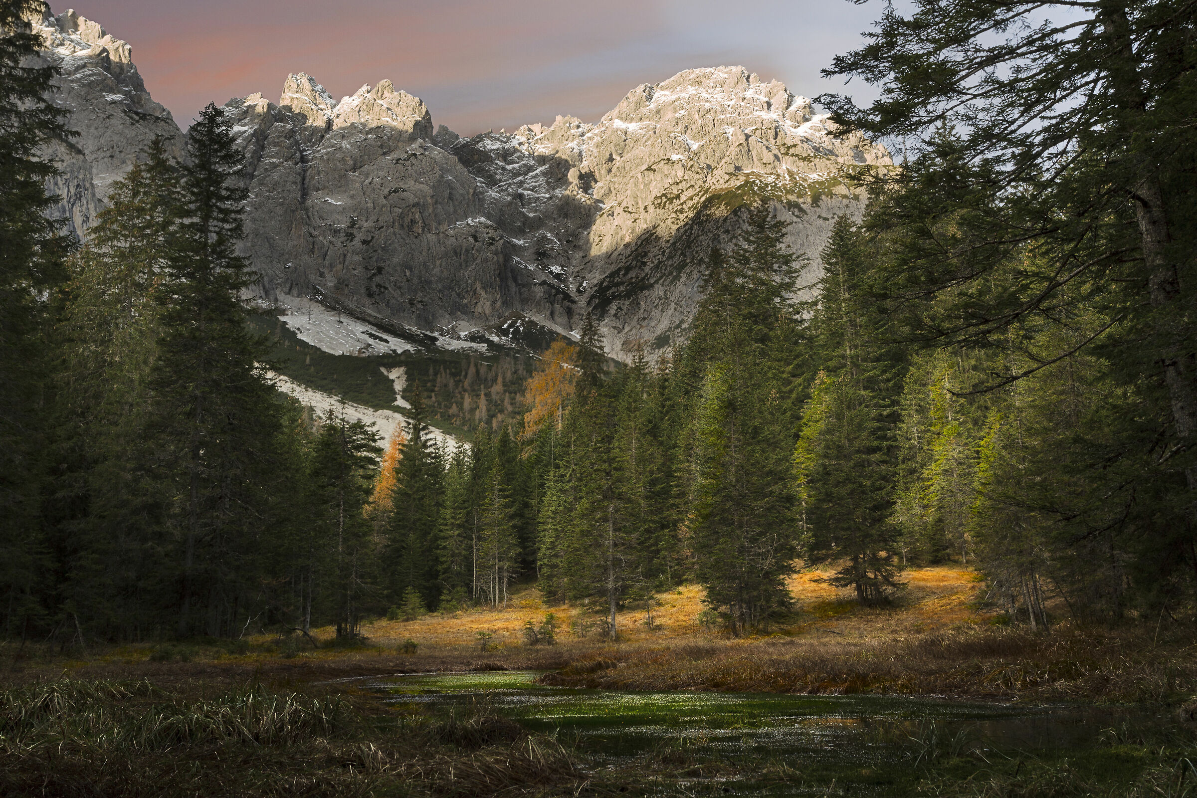 Paludi di Tamer Sappada Dolomiti