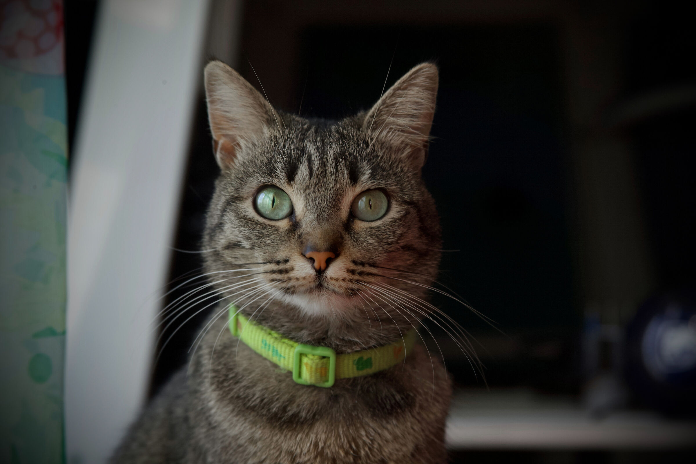 Barbara