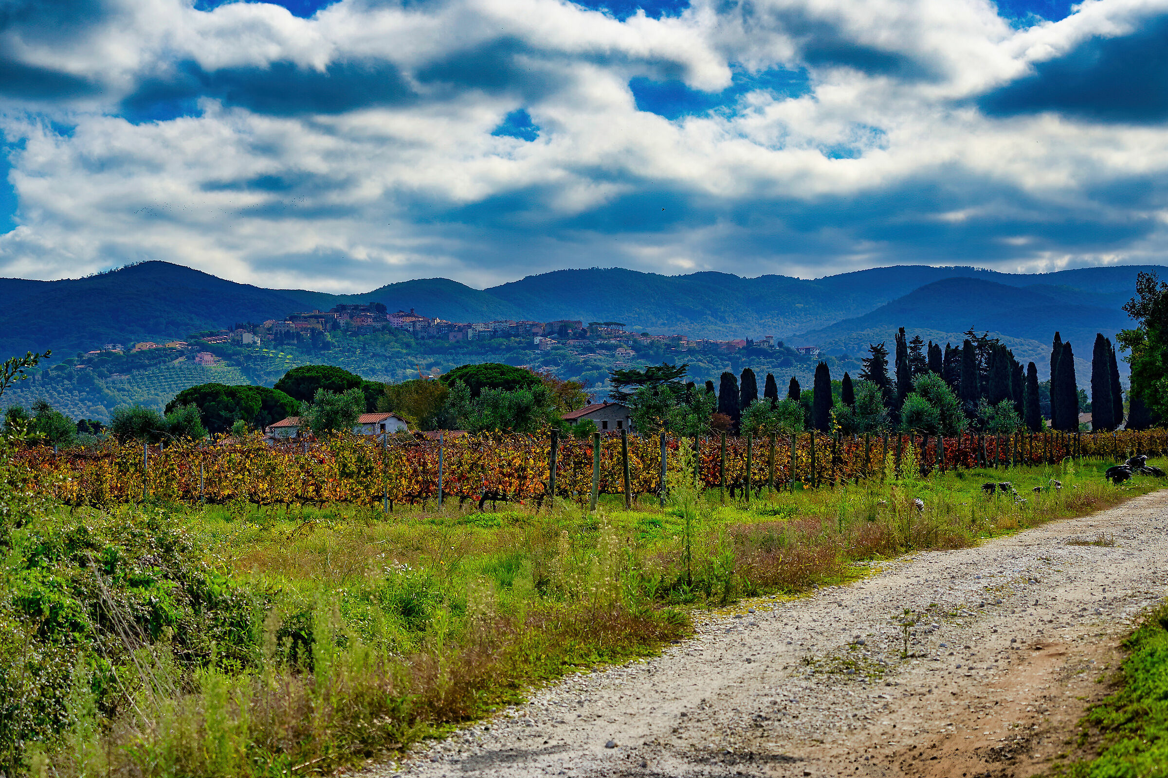Castagneto Carducci October 2020