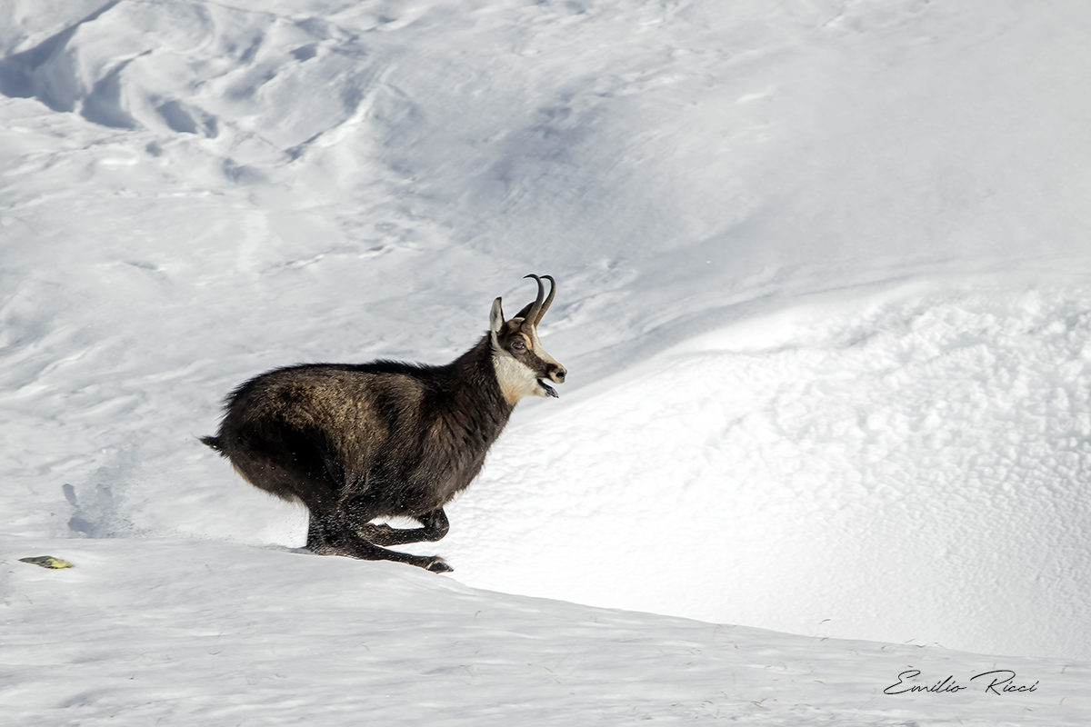 you start running...