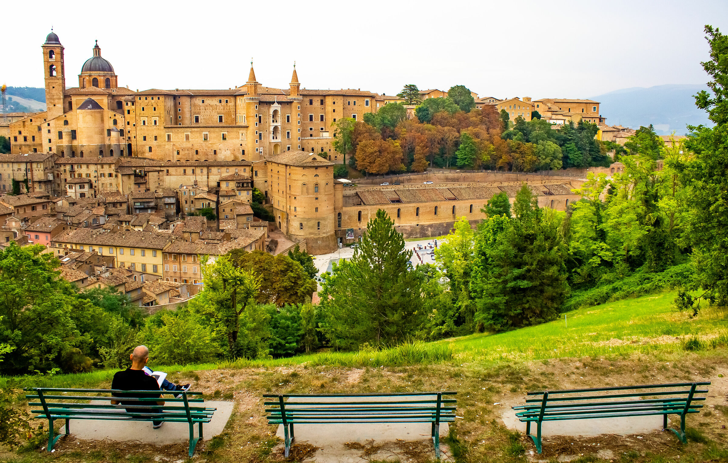 Urbino