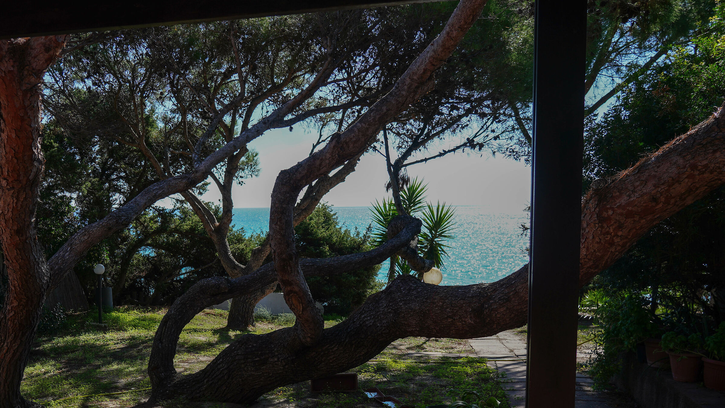 photo taken with 7r3
