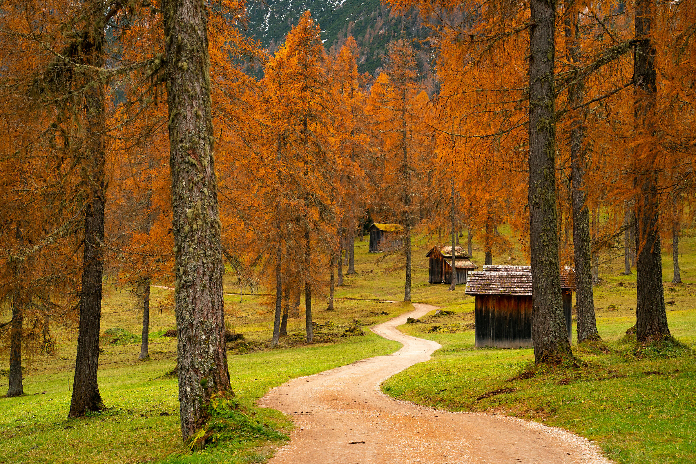 Val Fiscalina in veste dorata