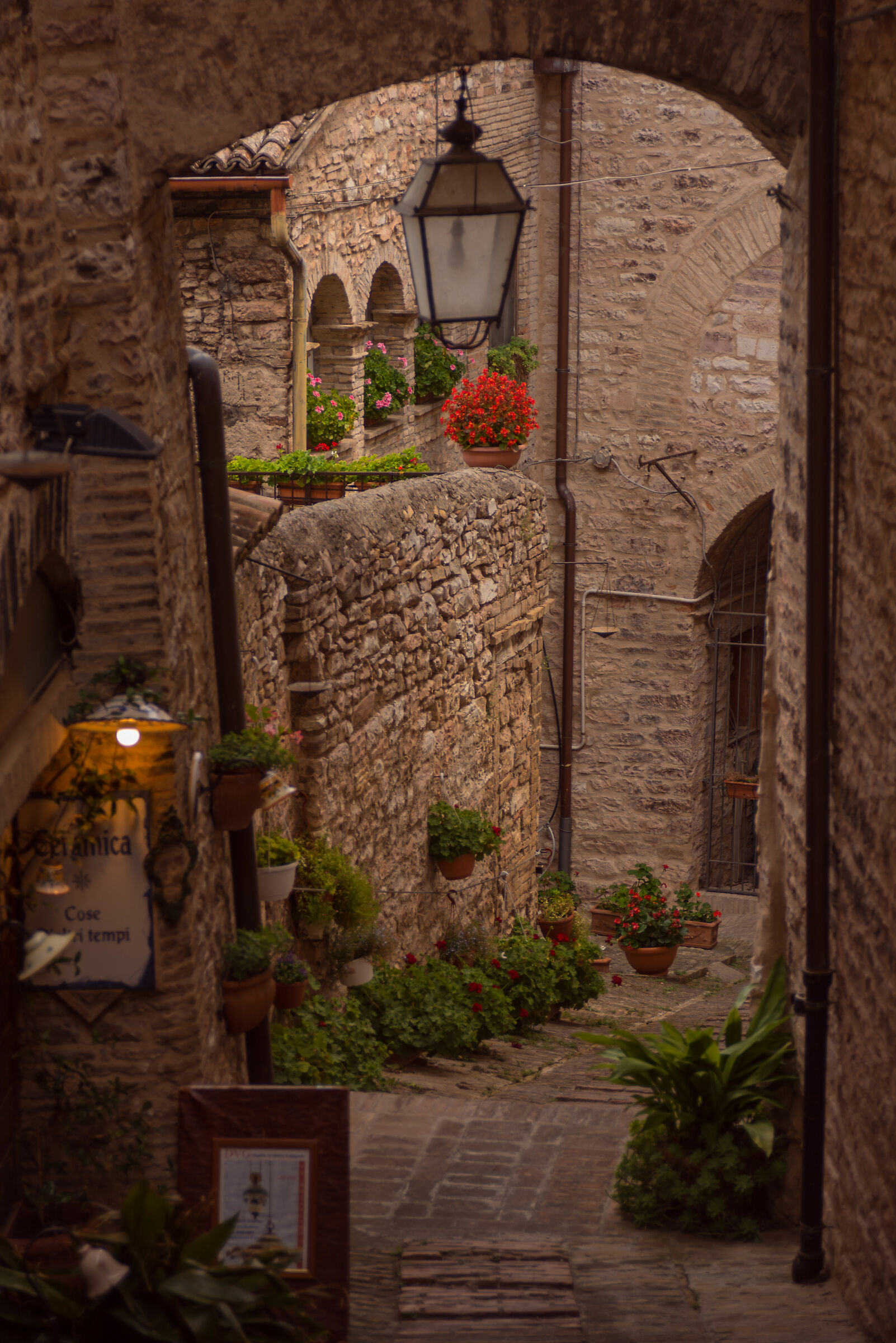 Spello - Beautiful Colony Iulia