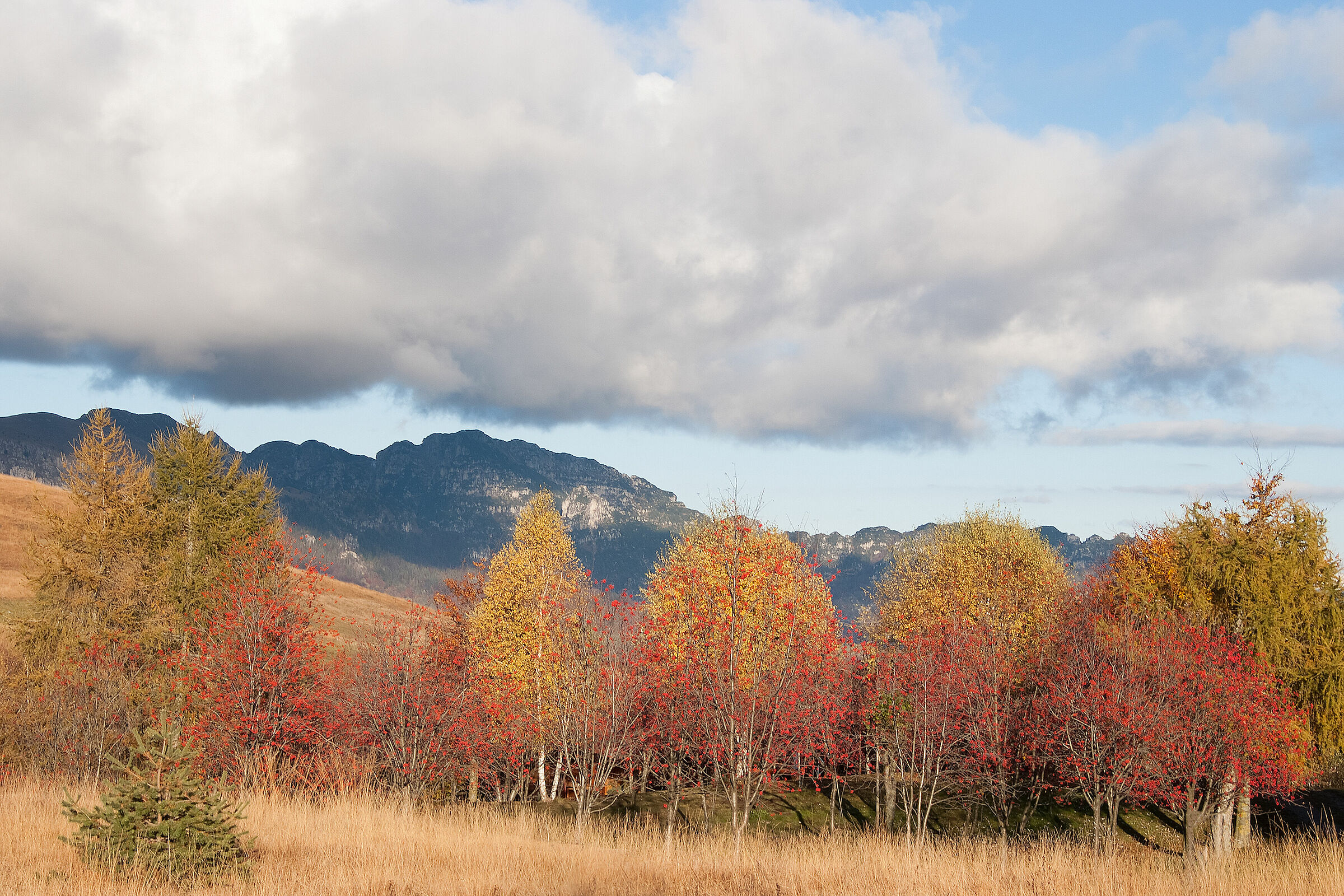 Autunno