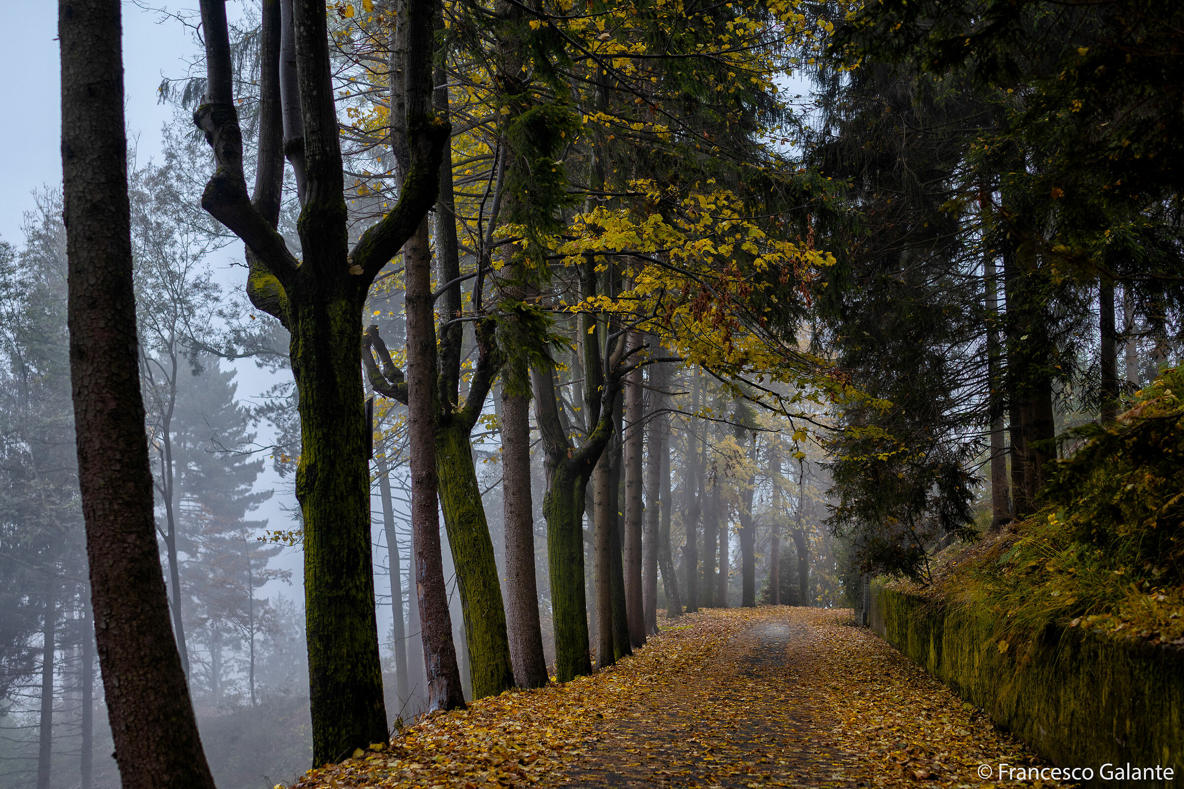 Bielmonte - Oasi Zegna