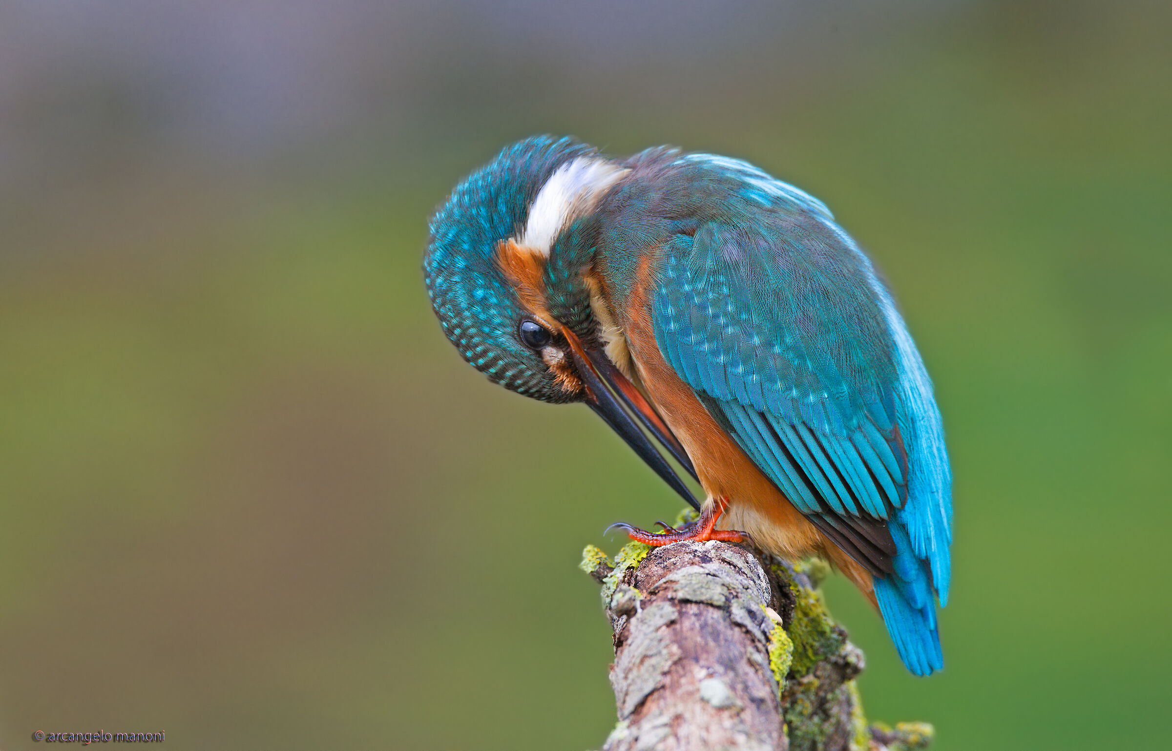 Martina doing the pedicure