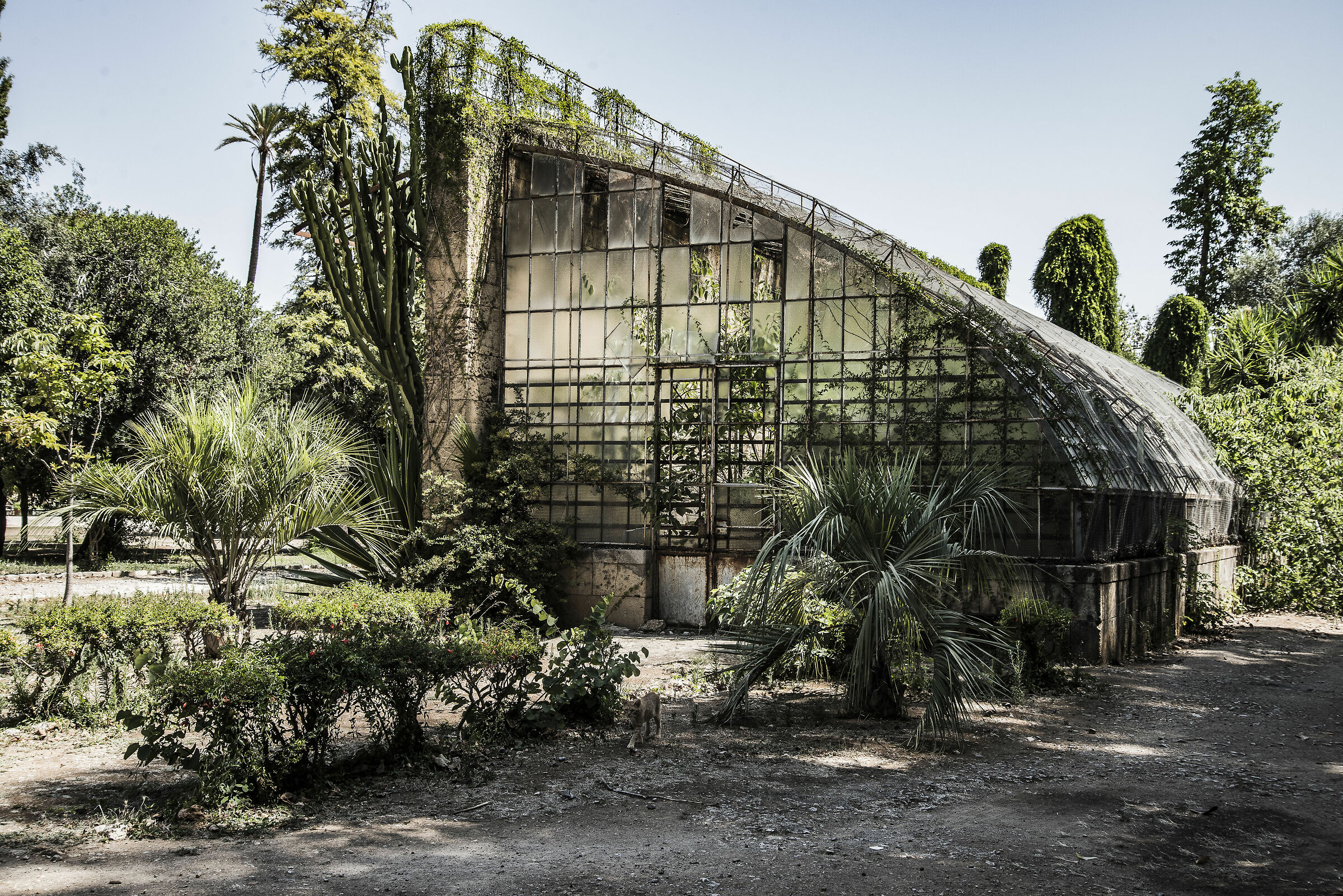 Greenhouse of Villa Trabia In Palermo