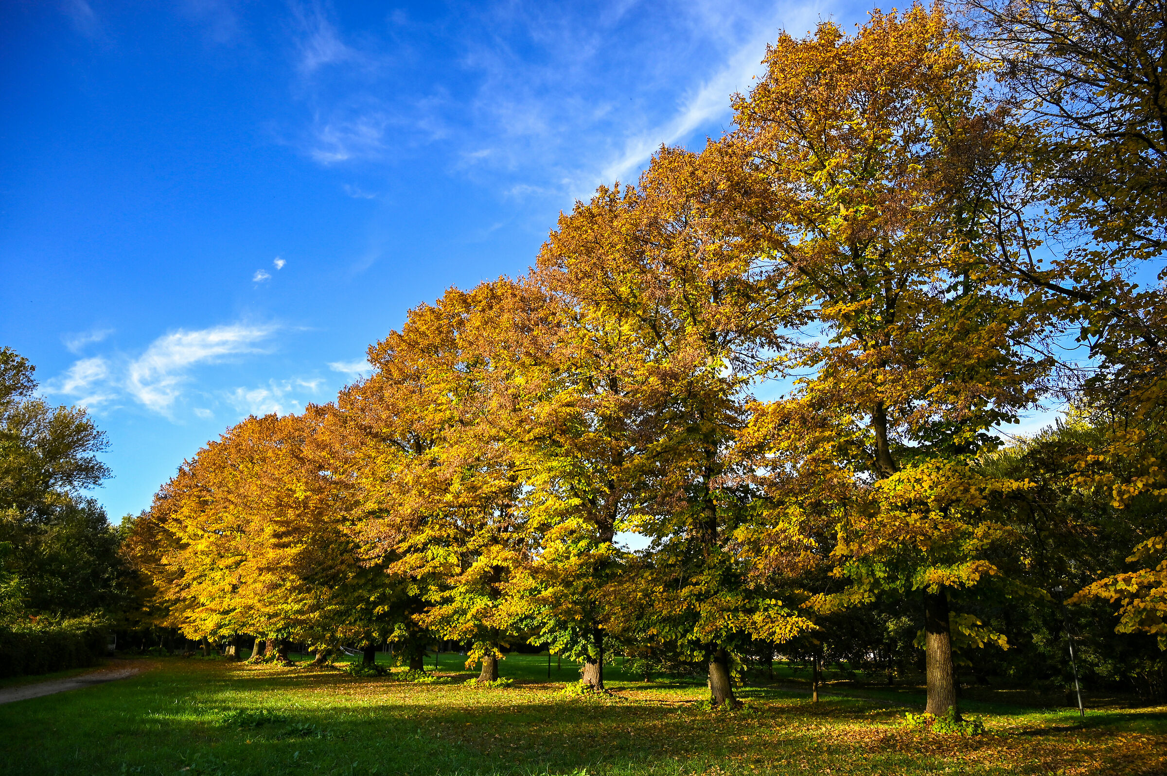 Theme: "For me autumn is..."
