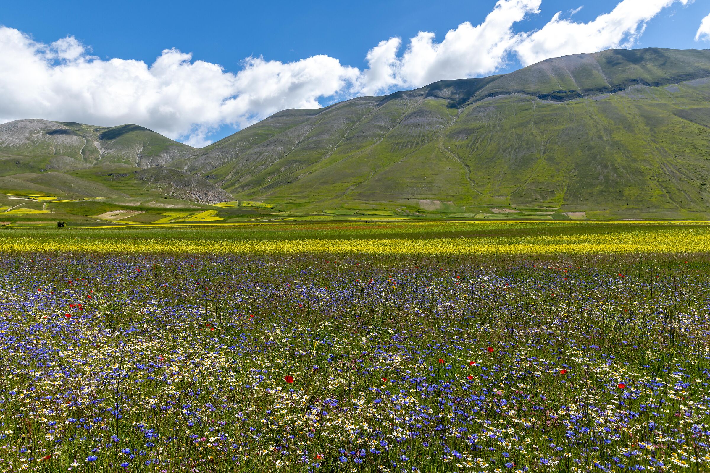 Castelluccio