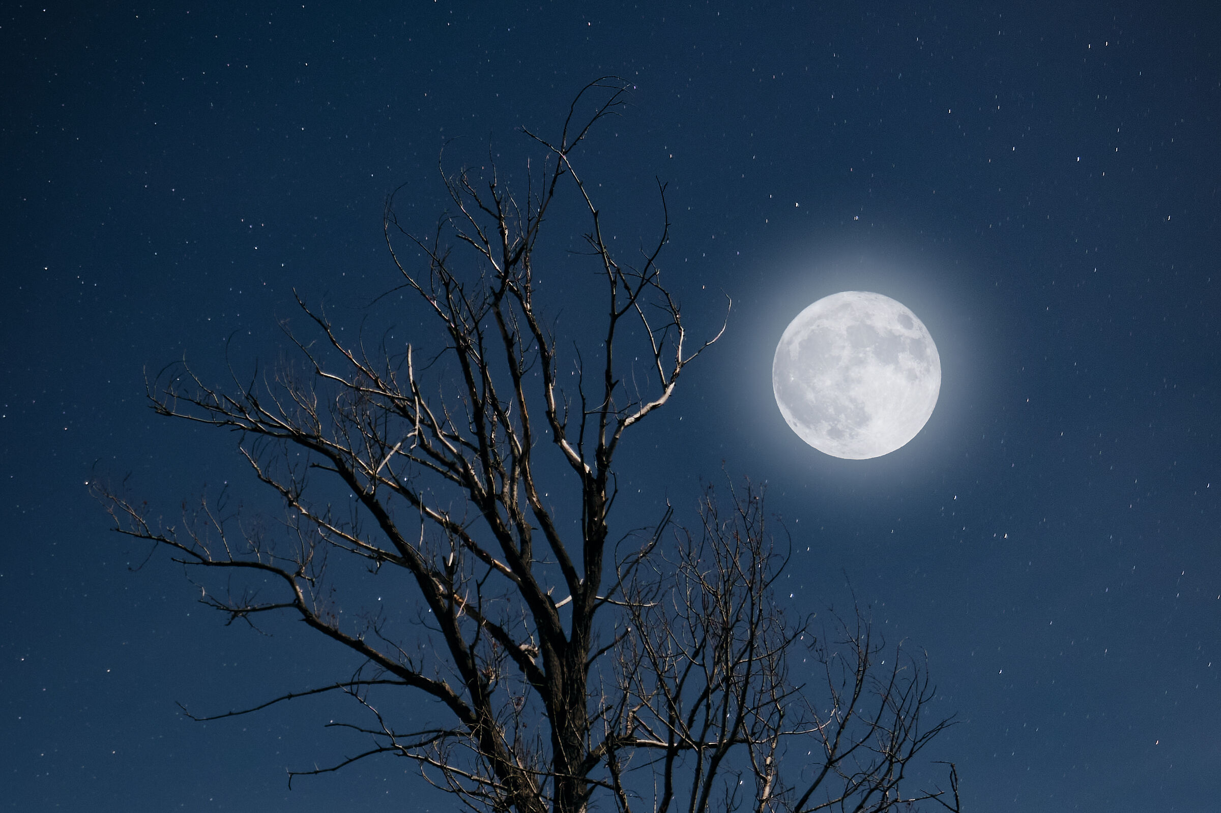 Luna Blu October 31, 2020