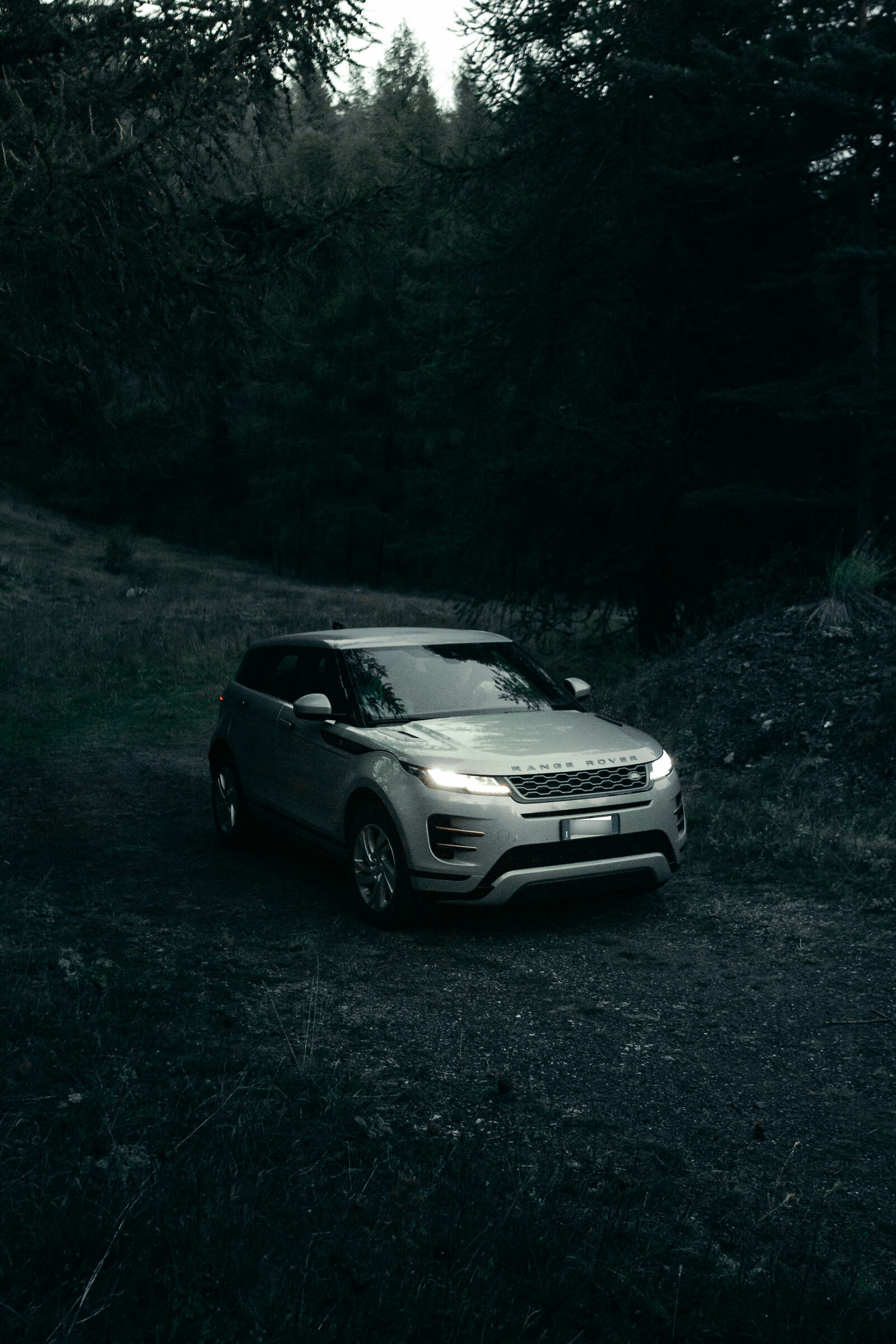 Scampagnata in montagna