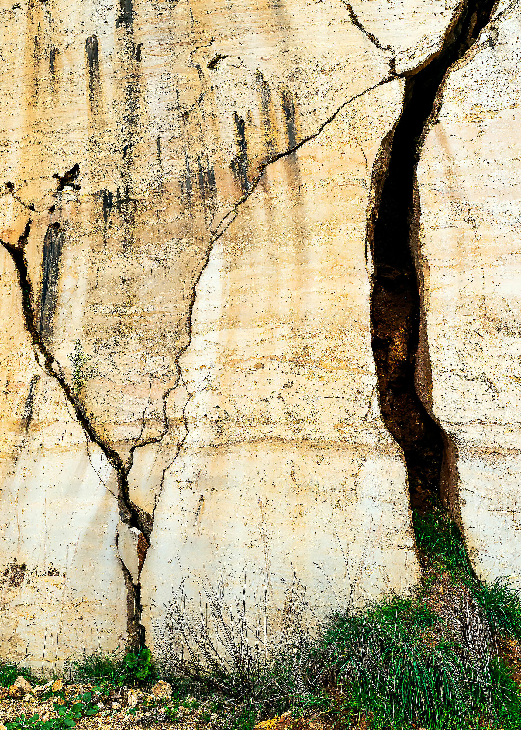 ghosts of trees at quarry