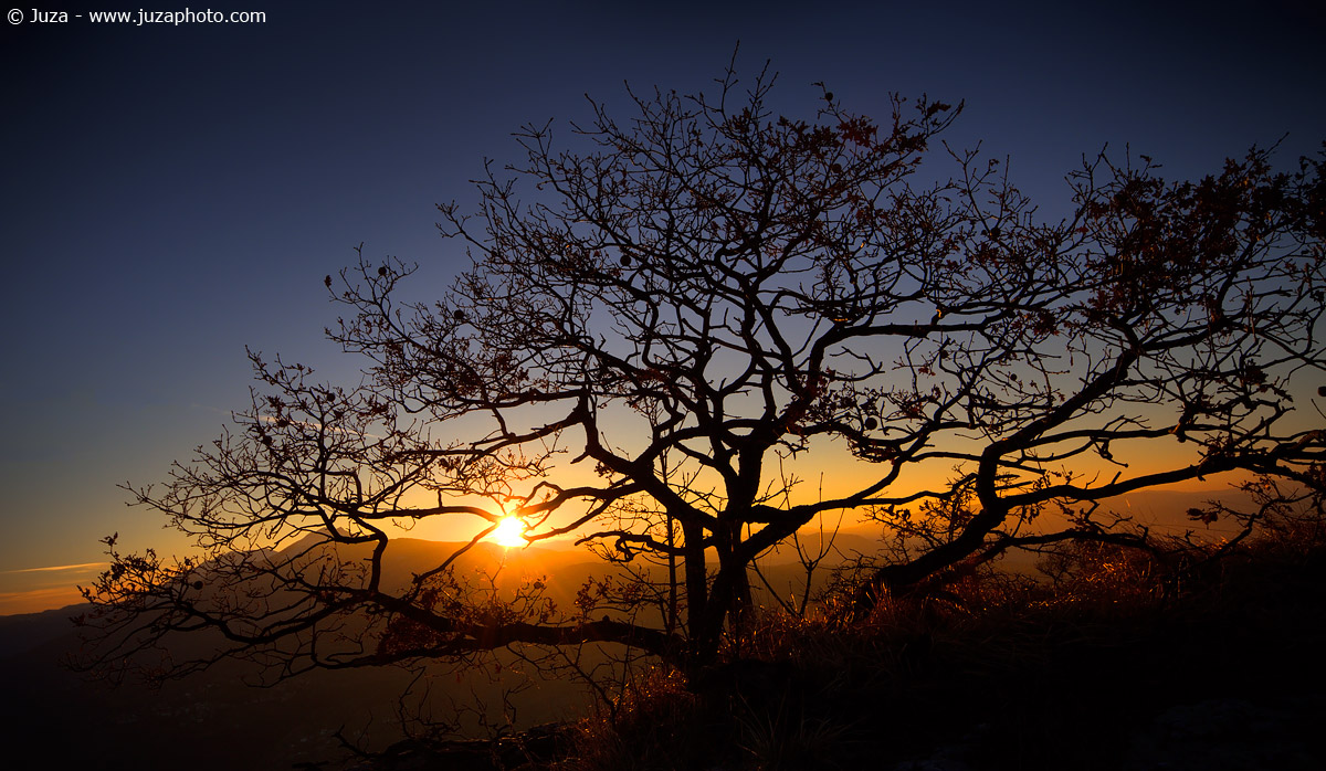 Paesaggio dalla Pietra di Bismantova, 013724