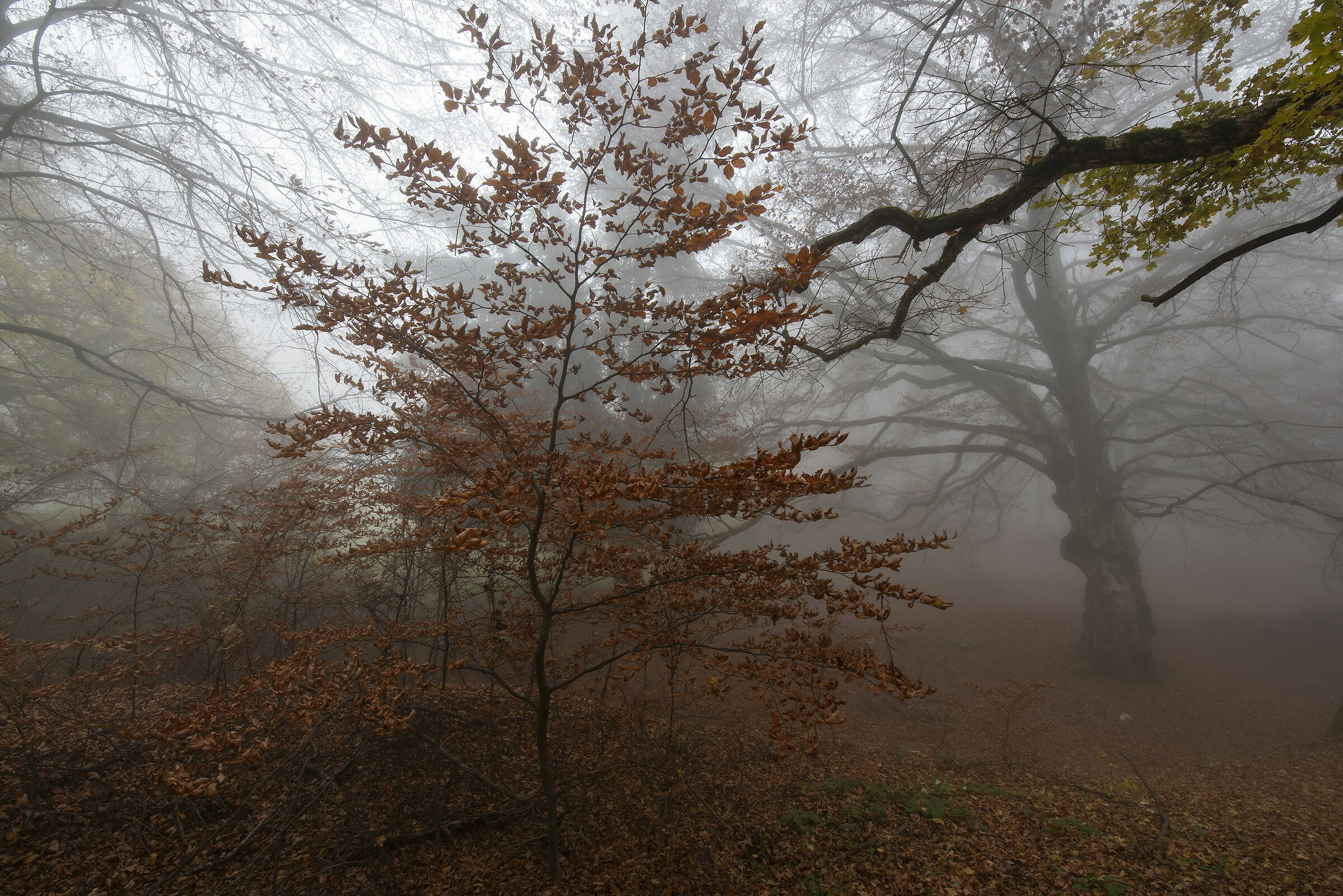 monte baldo 3 nov 2020 1