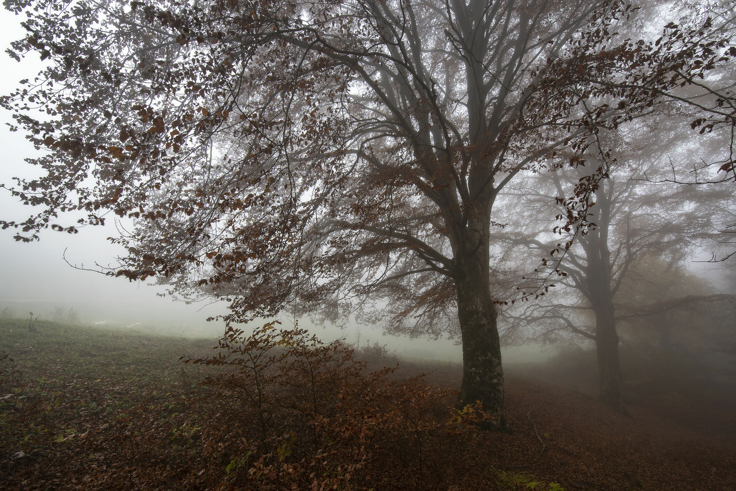 monte baldo 3 nov 2020 2