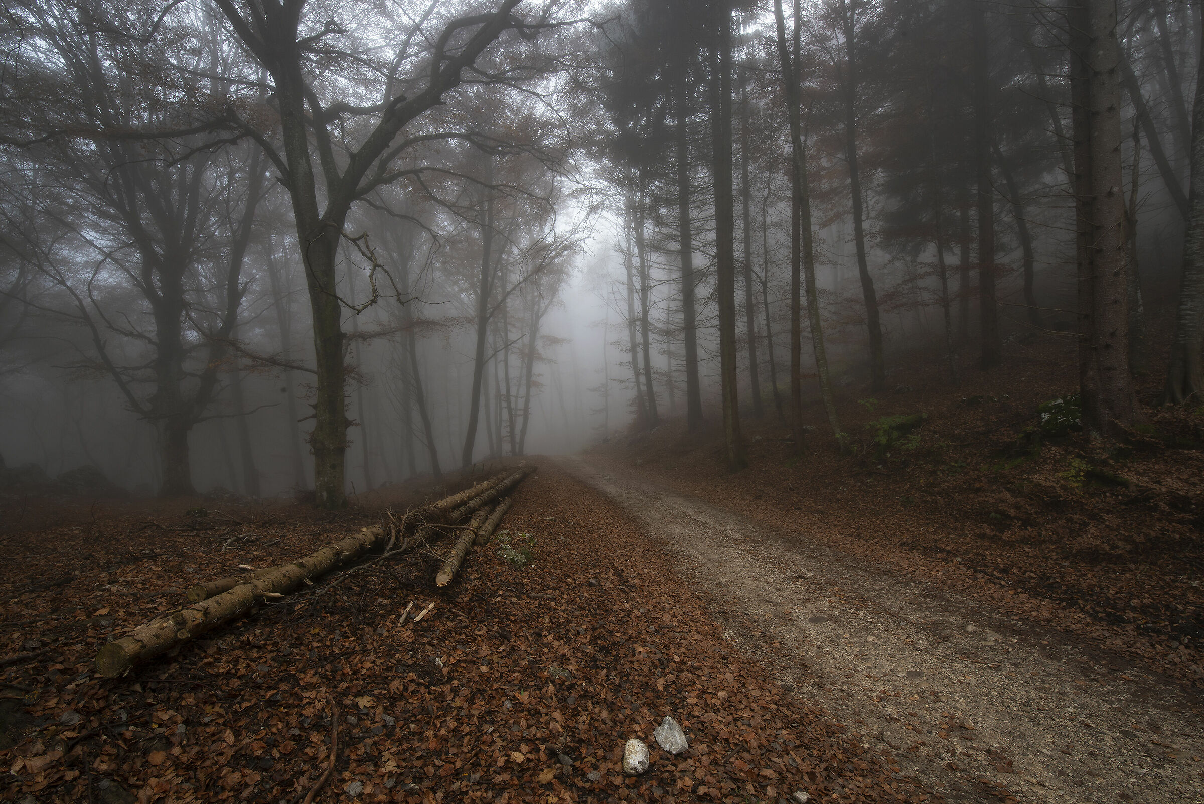 monte baldo 3 nov 2020 3