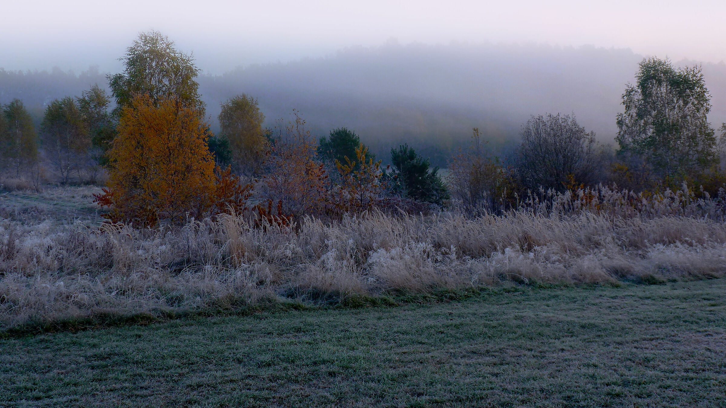 Mattina nebbiosa a Brody - Regione di Swietokrzyskie