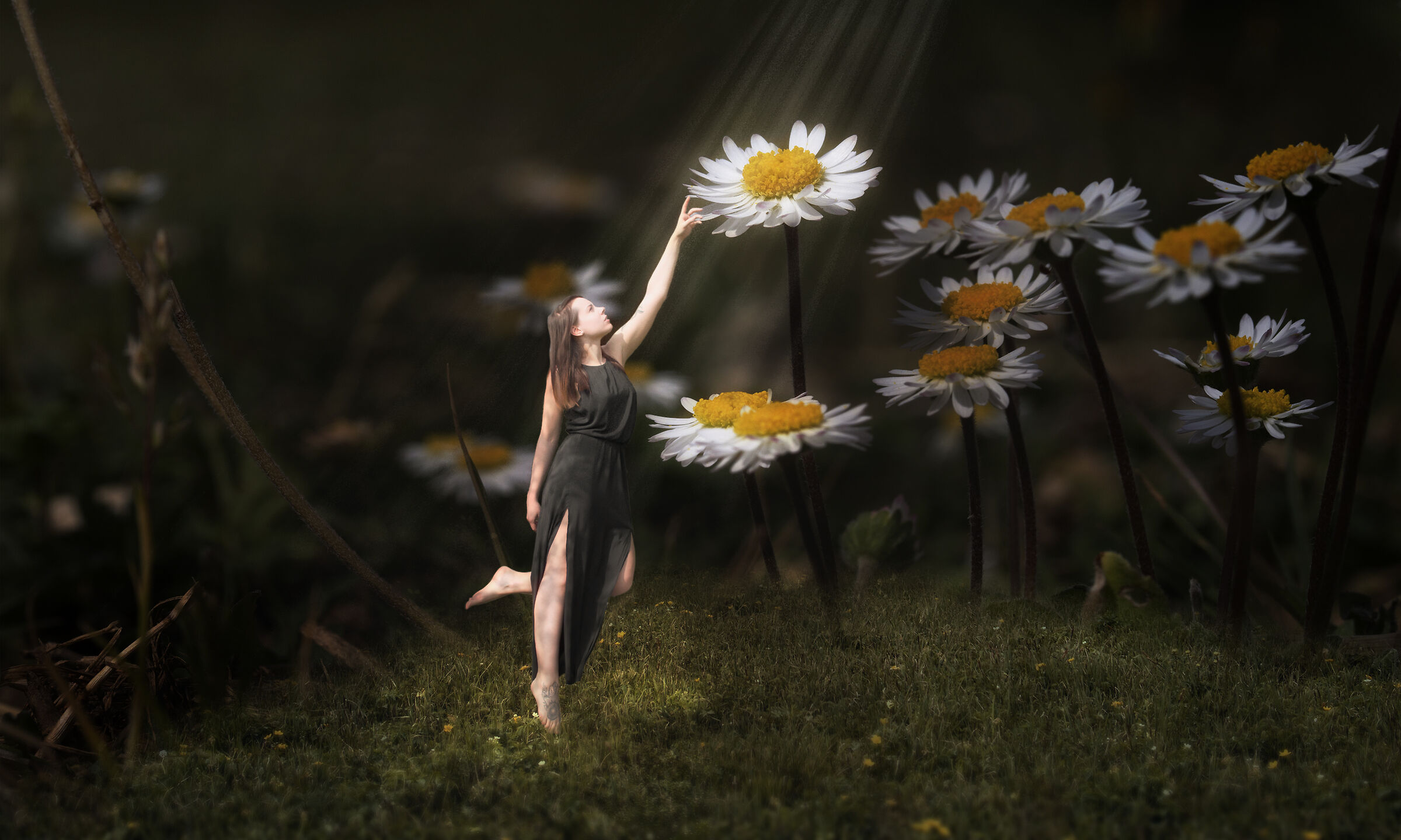 Una notte di mezza estate