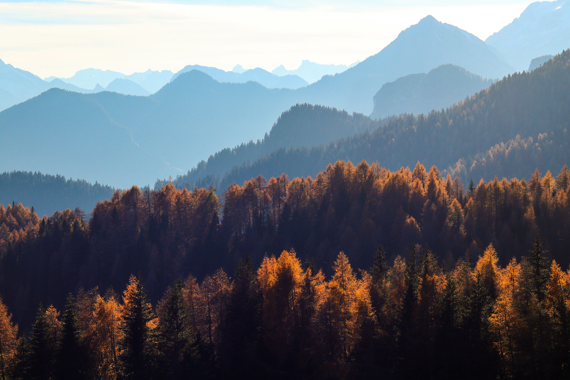 Autunno in Cadore
