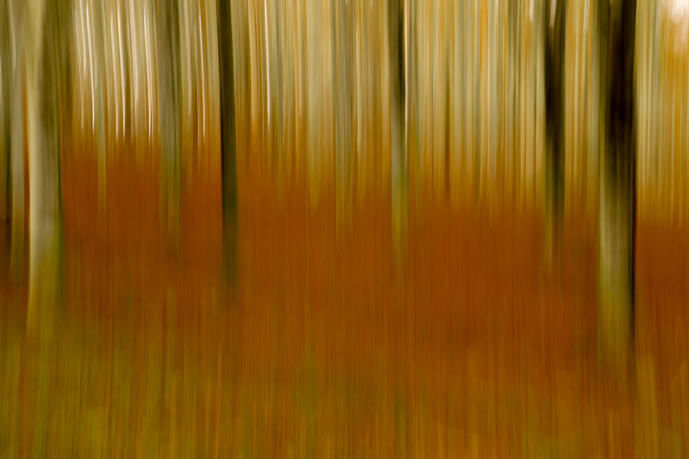 Saliscendi senza fine