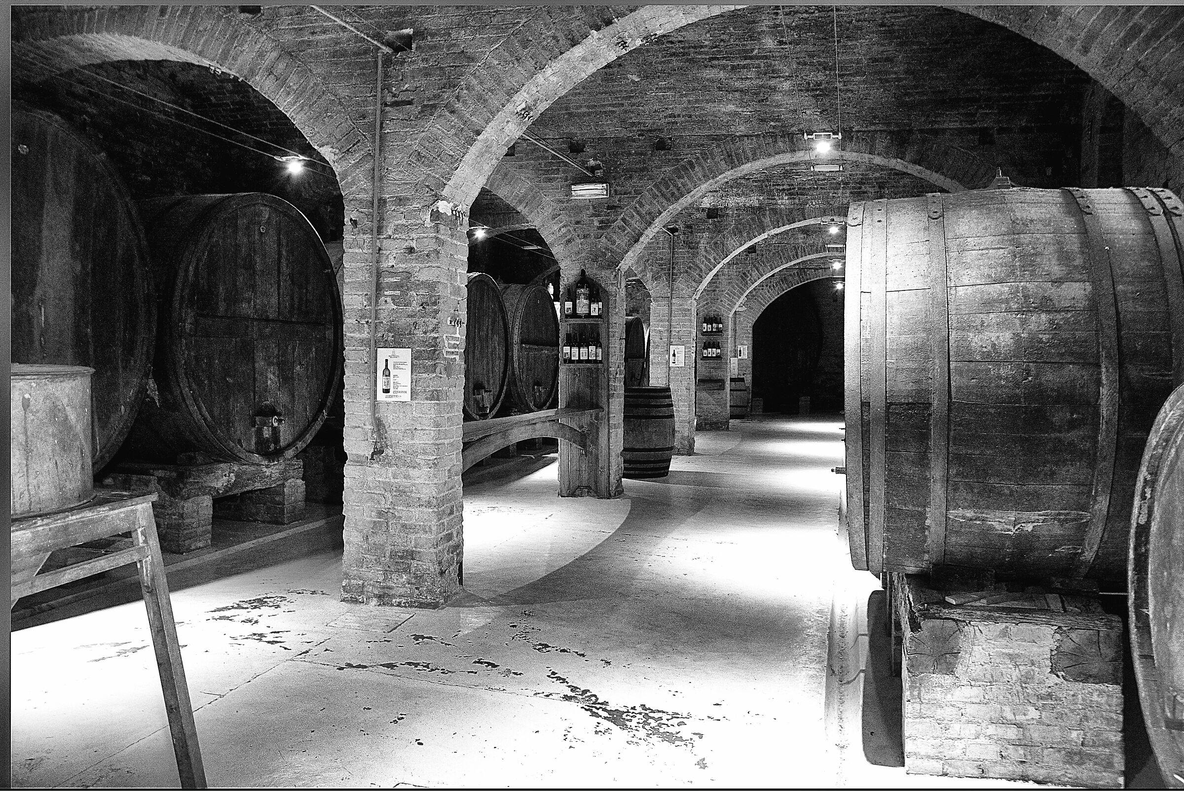 Abbazia di Monte Oliveto - La Cantina dei Monaci