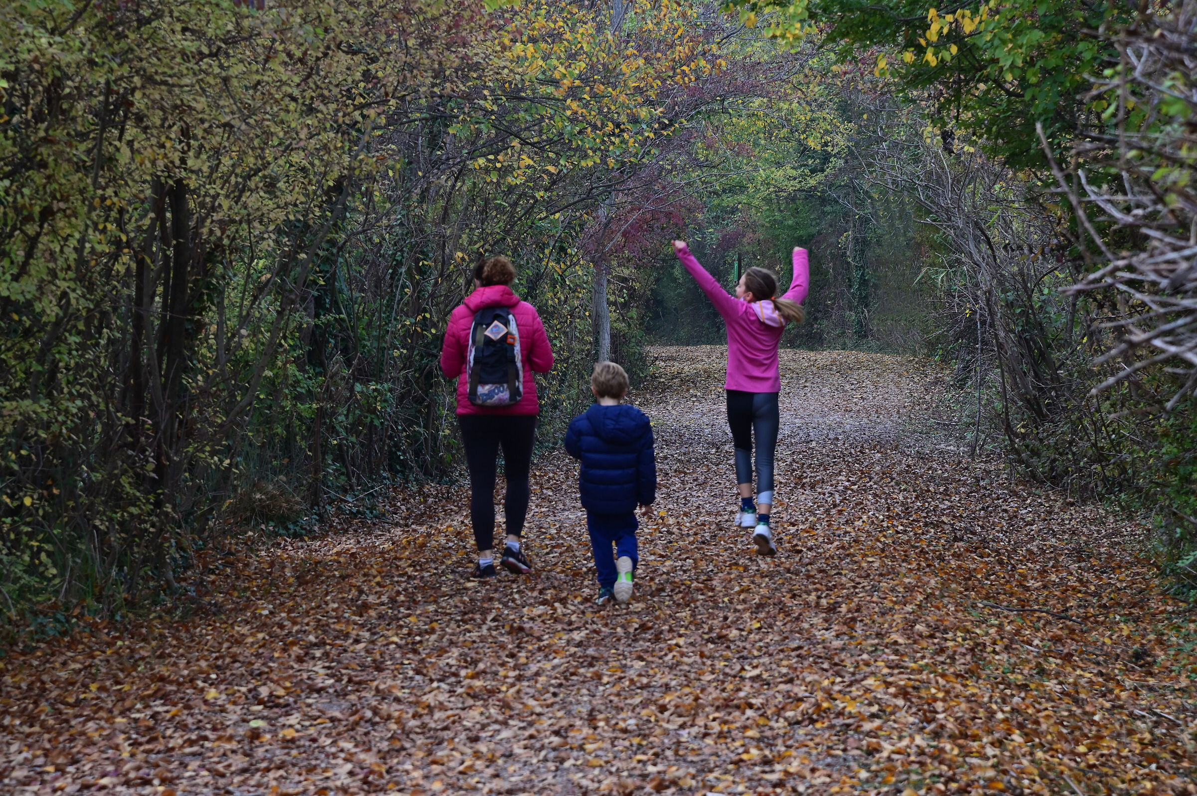 Ultimi salti prima del nuovo stop.