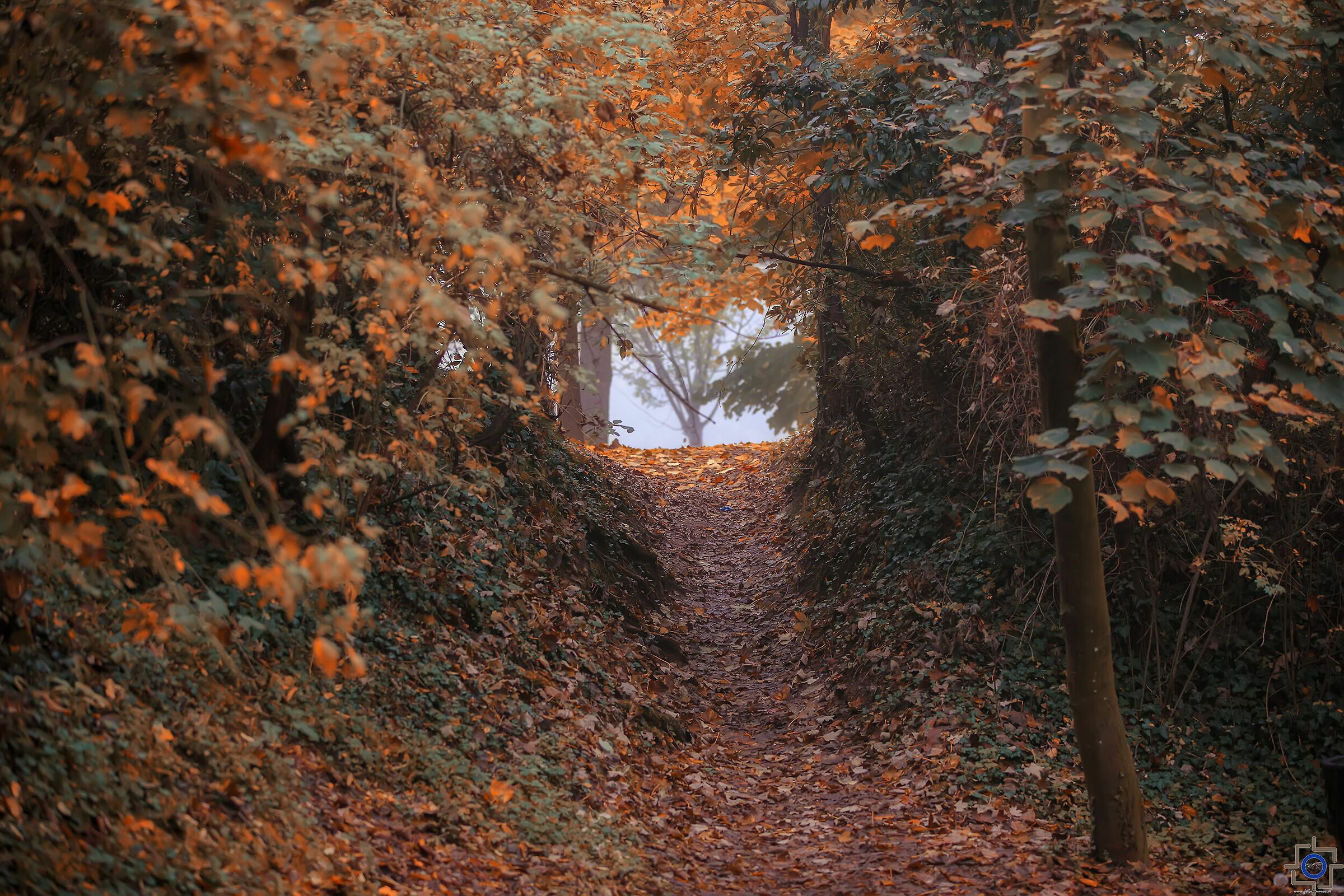 Un sentiero verso l'inverno