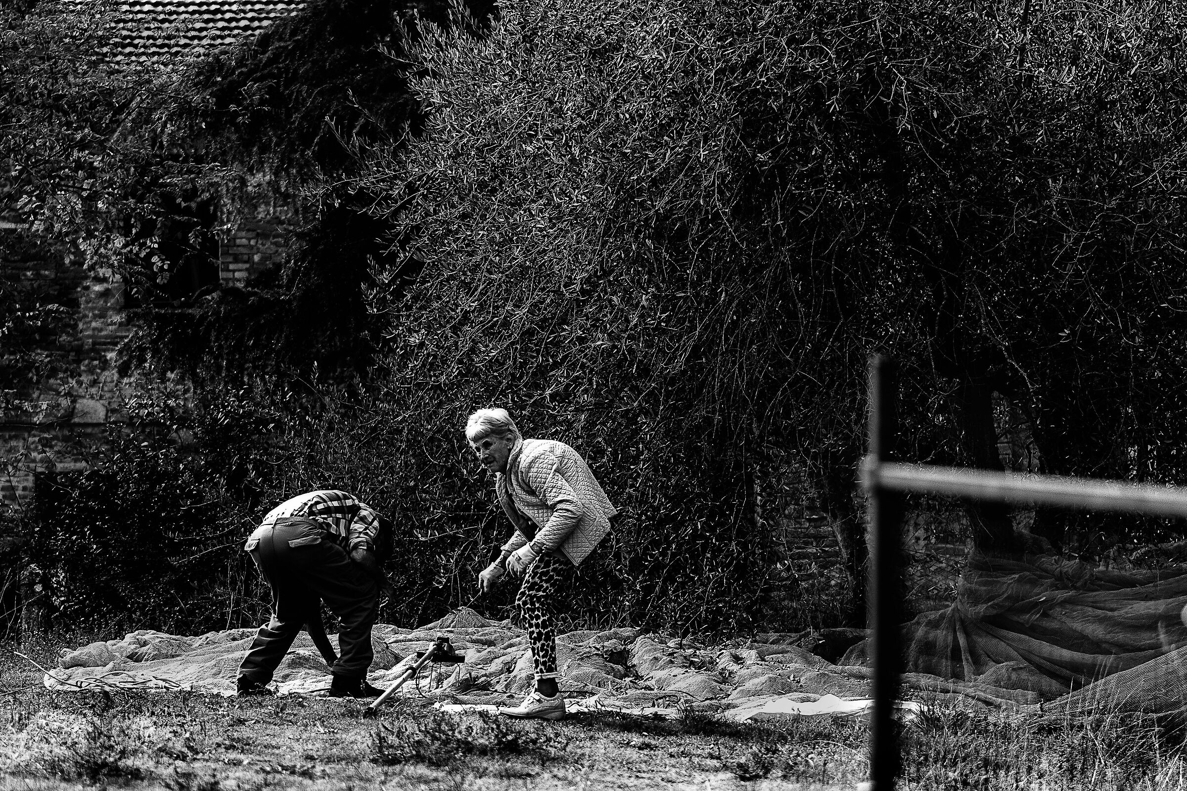 i vecchi ...i vecchi? vecchi a chi?