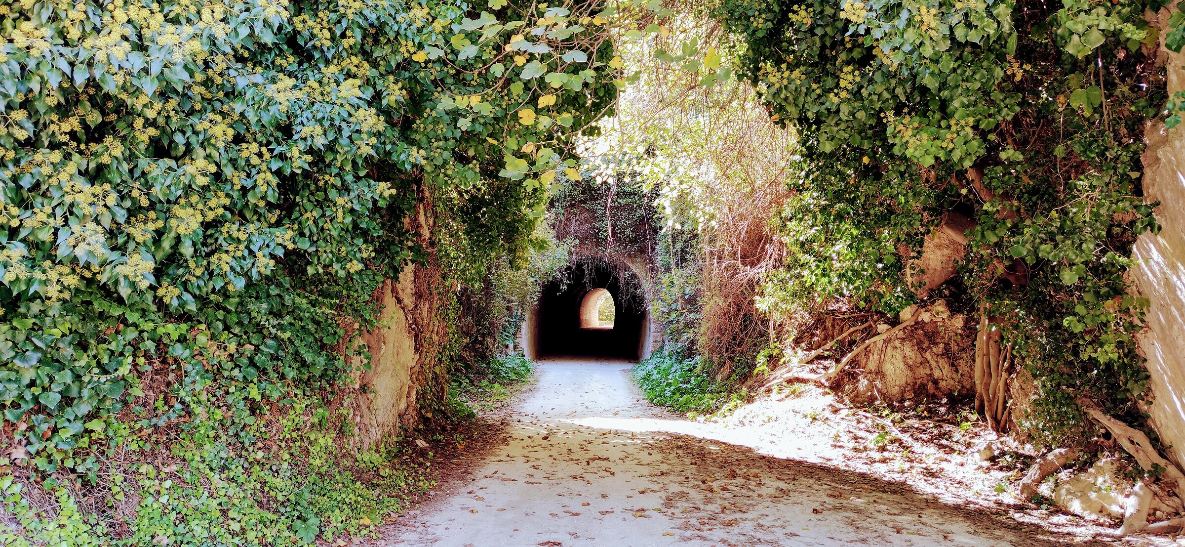 Valley of the River Anapo Pantalica SR