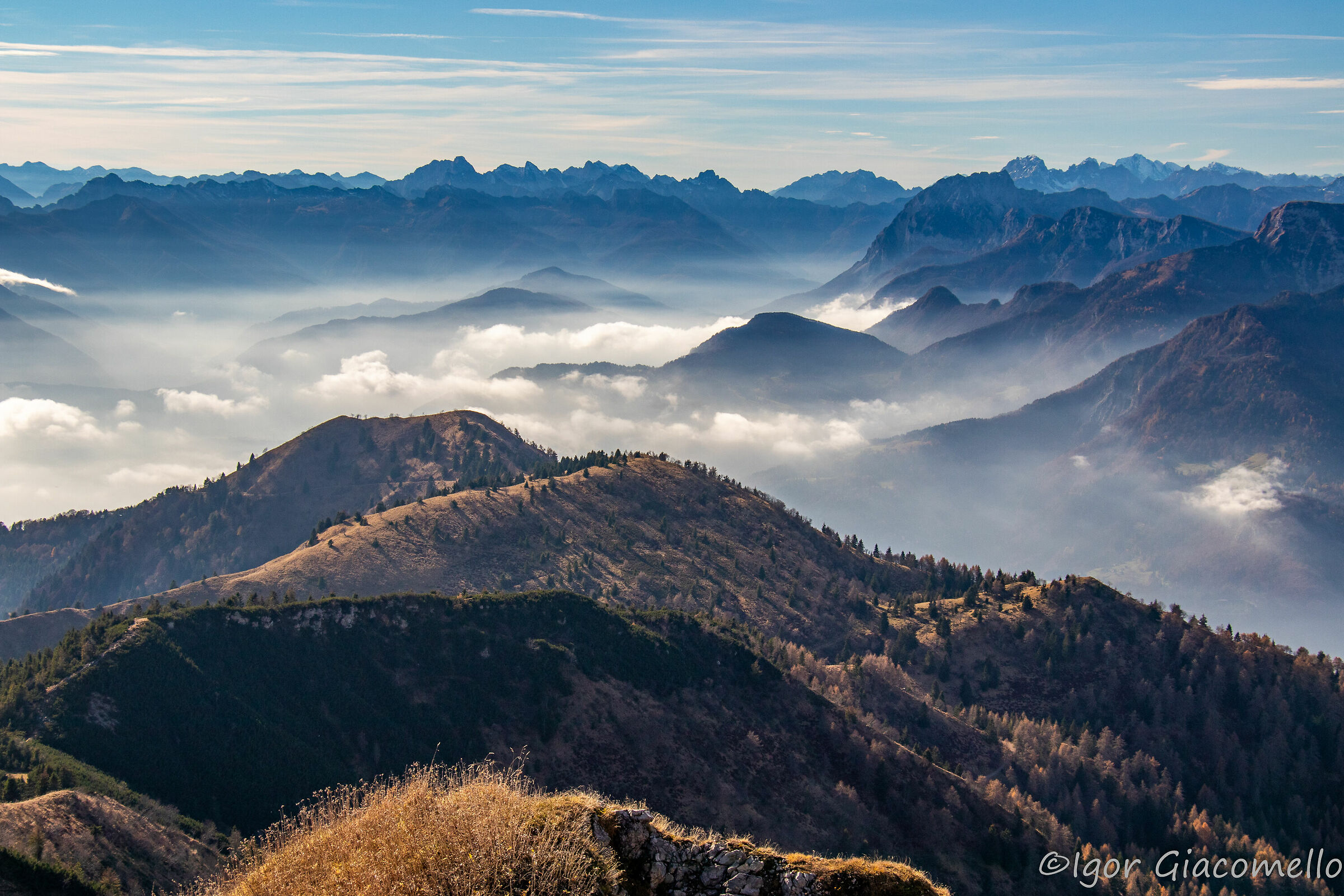 Infinite cime e cimette
