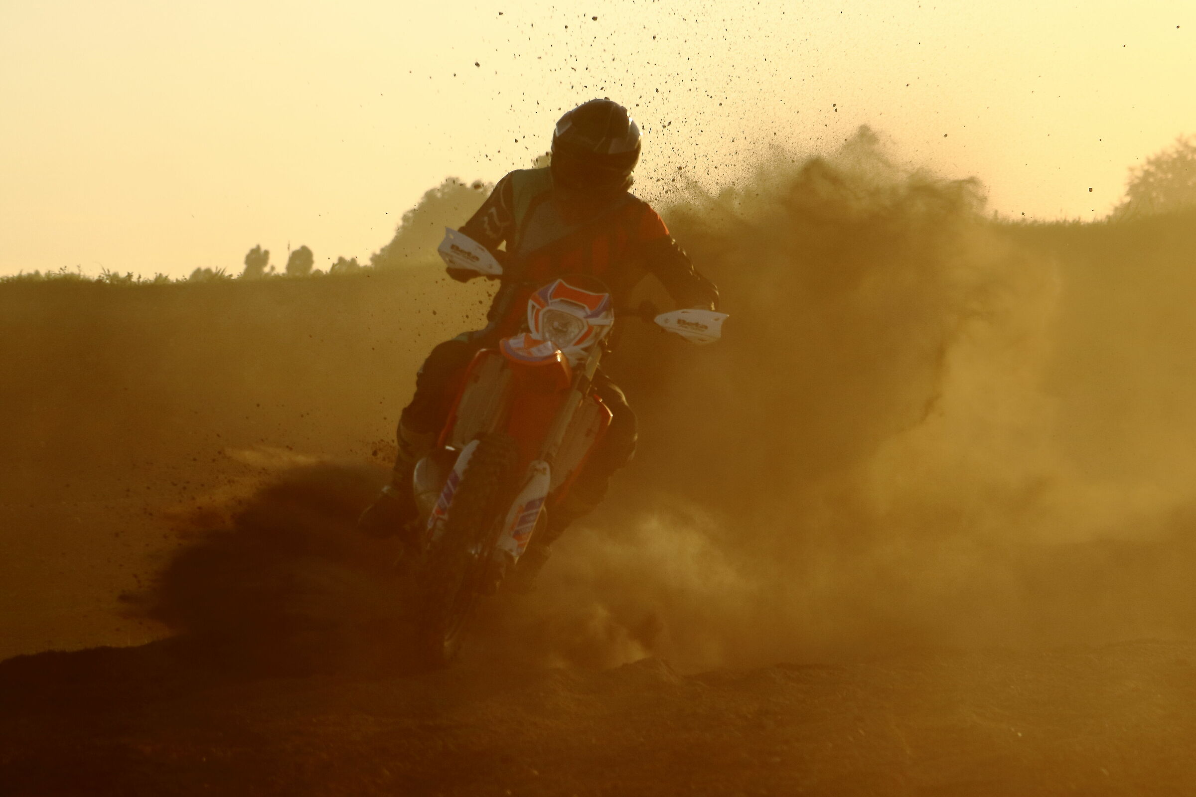 Beta 300 - l'indomabile