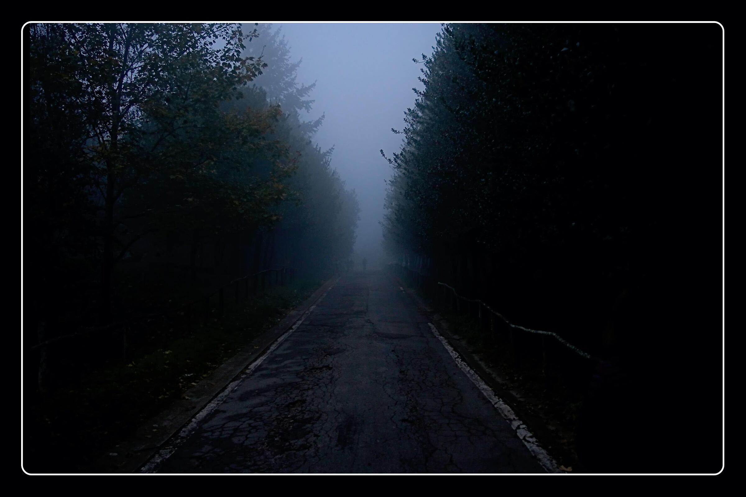 The Road in the Fog