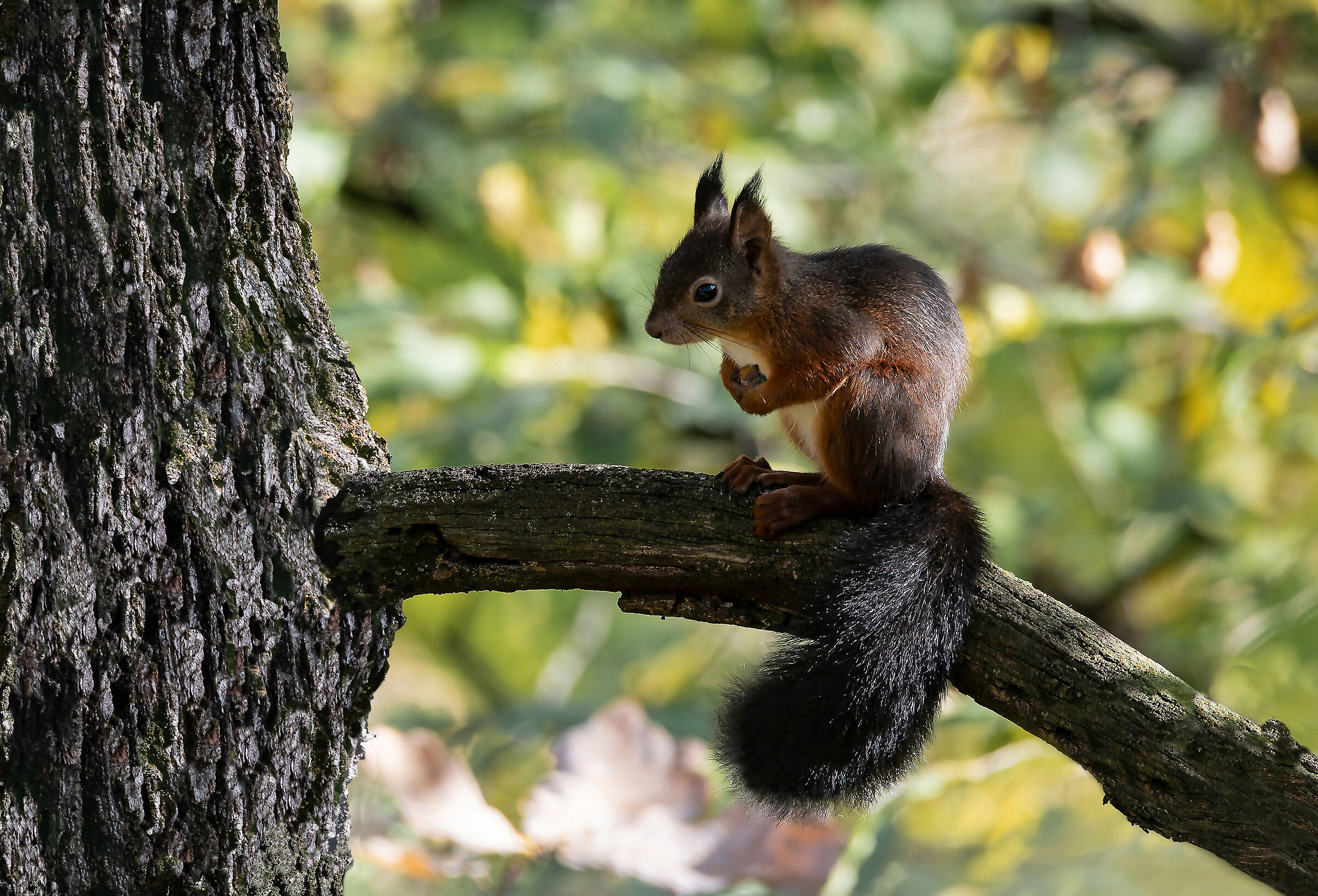 In search of winter stocks