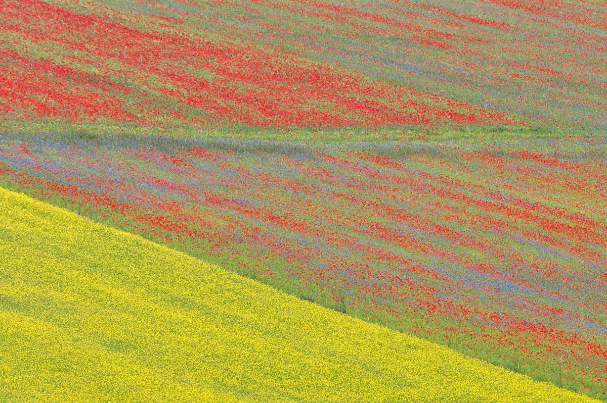 Geometria di Castelluccio
