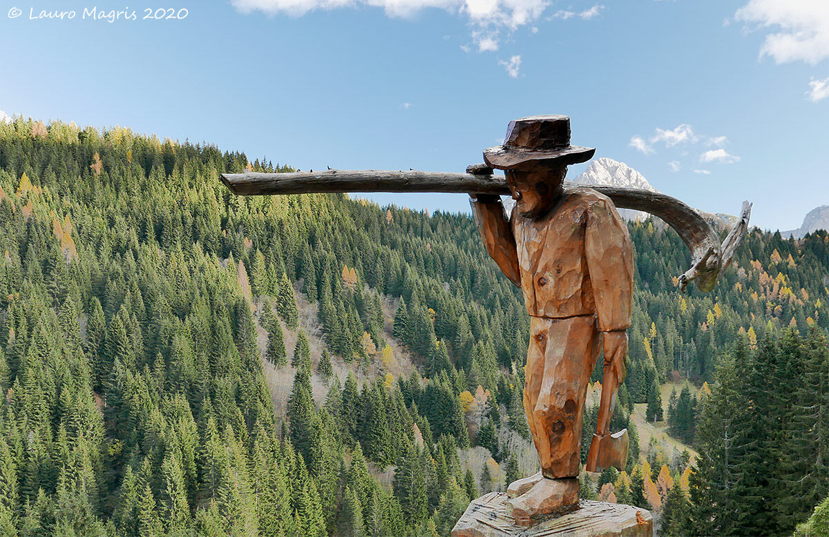 Returning from the woods