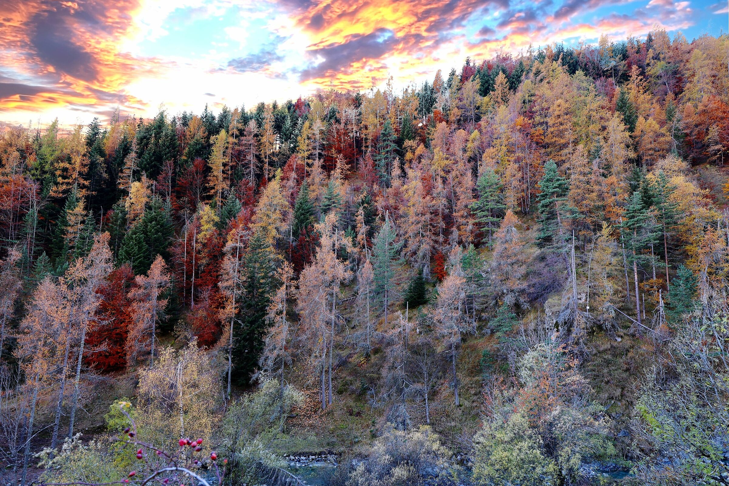 Esplosione di colori nel parco Marguerais