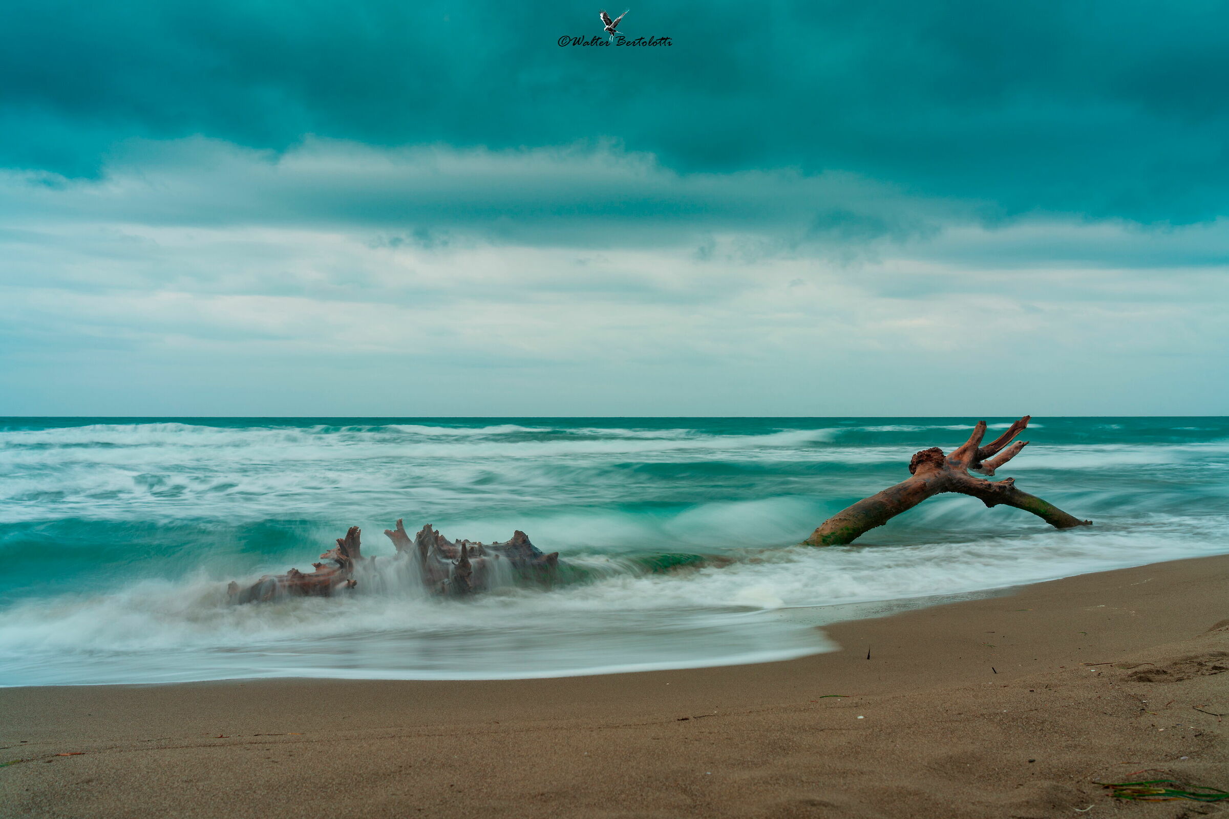l'autunno sulla marina