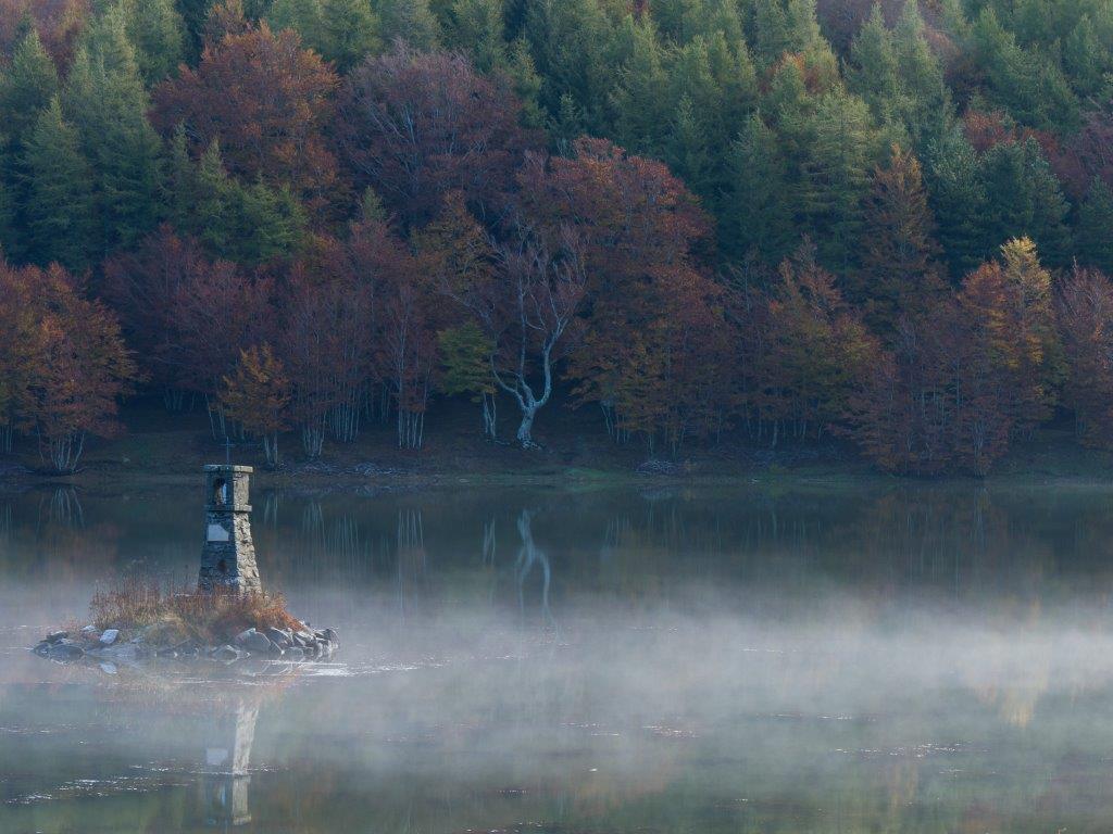 Misty lake
