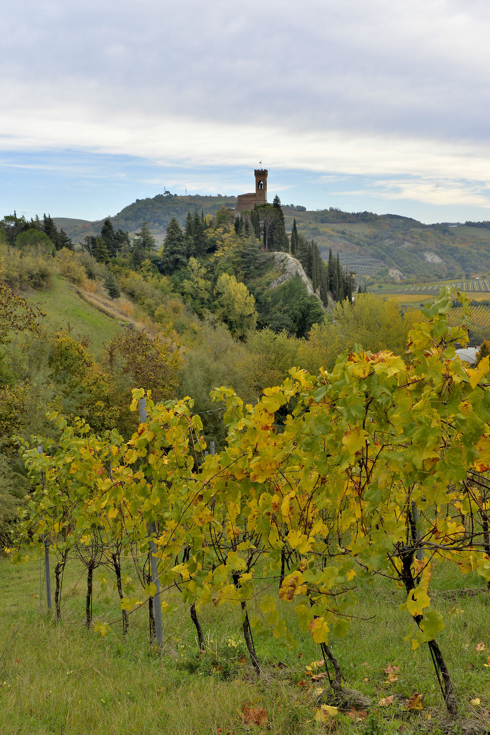Brisighella