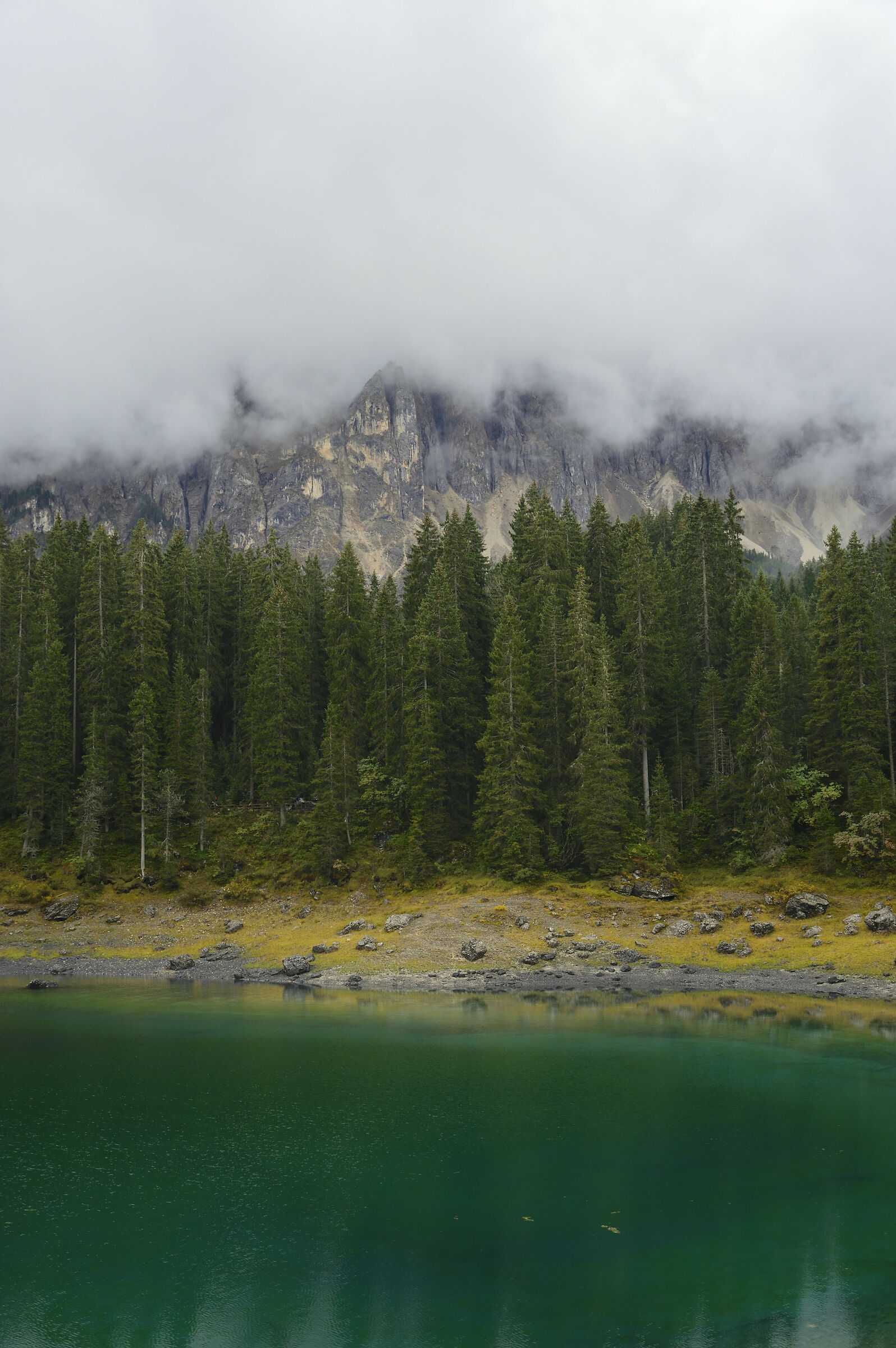 Carezza nella nebbia