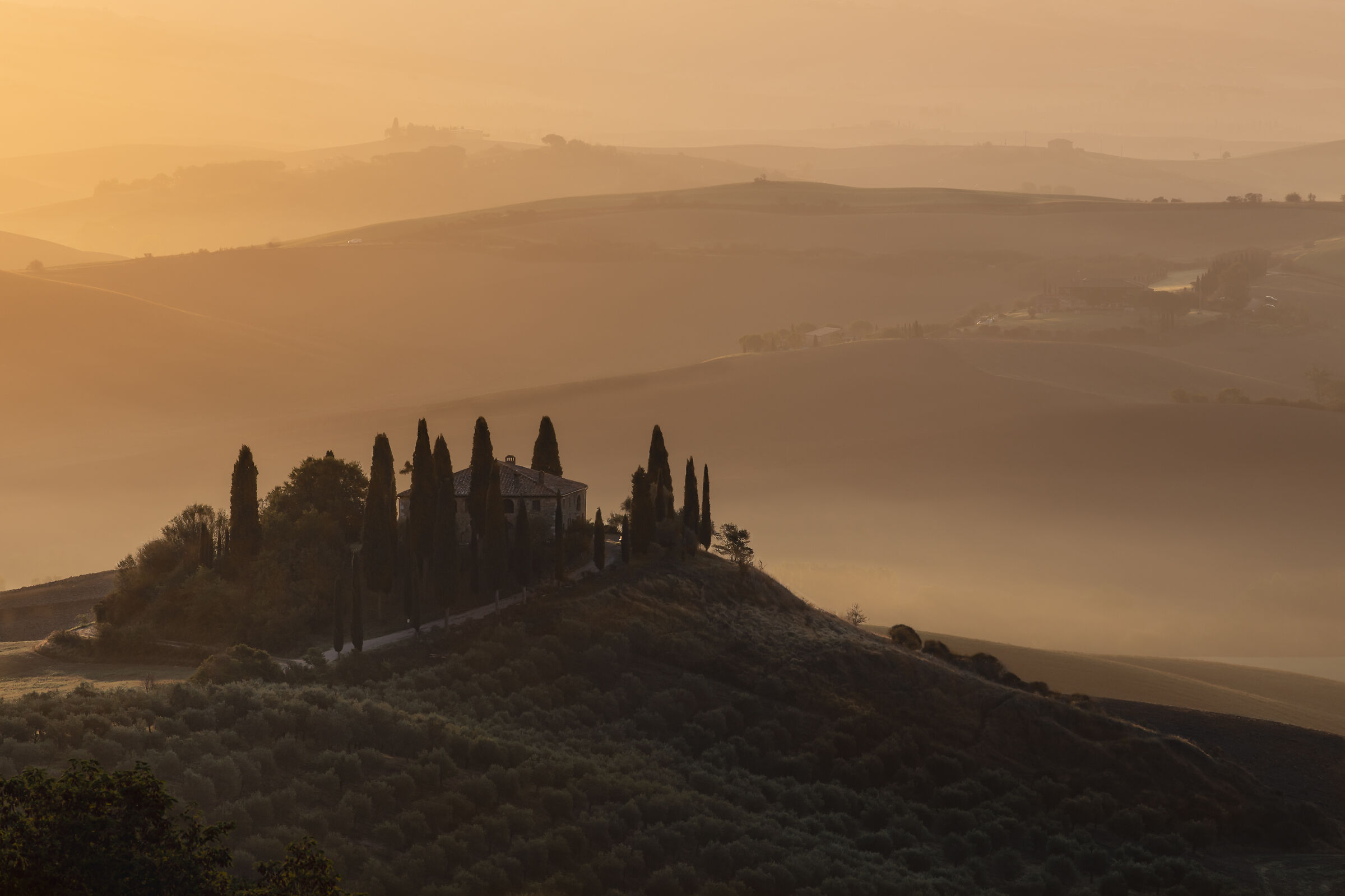 Sempre un .. Belvedere