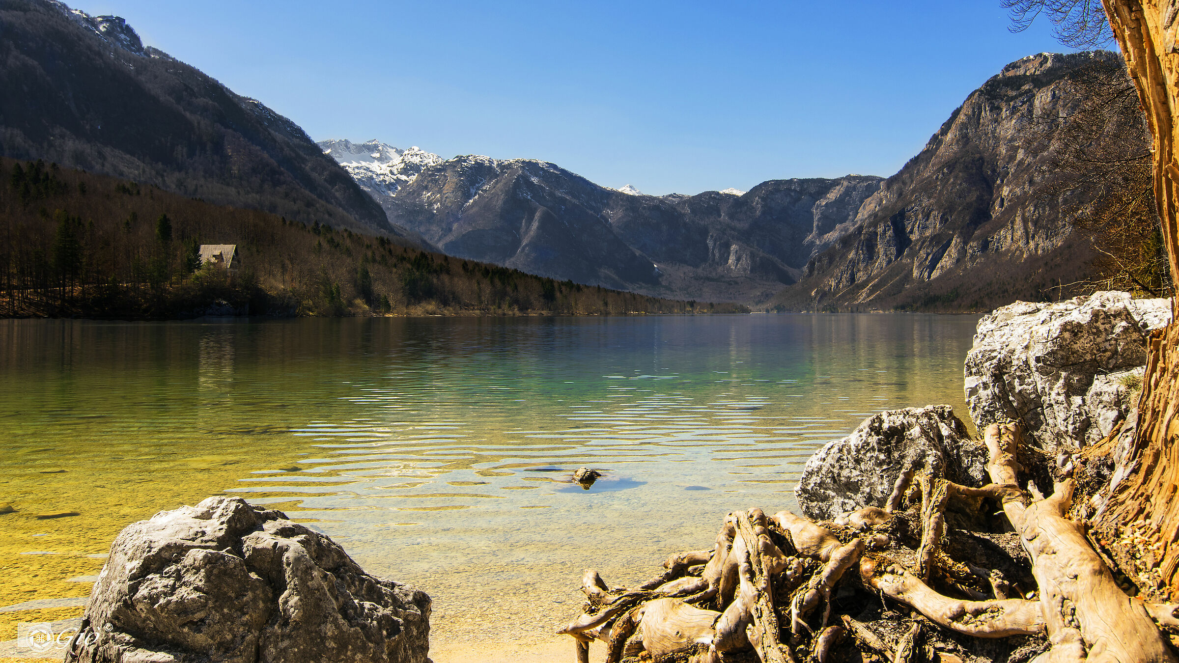 Lake Bohinj- (Slo)