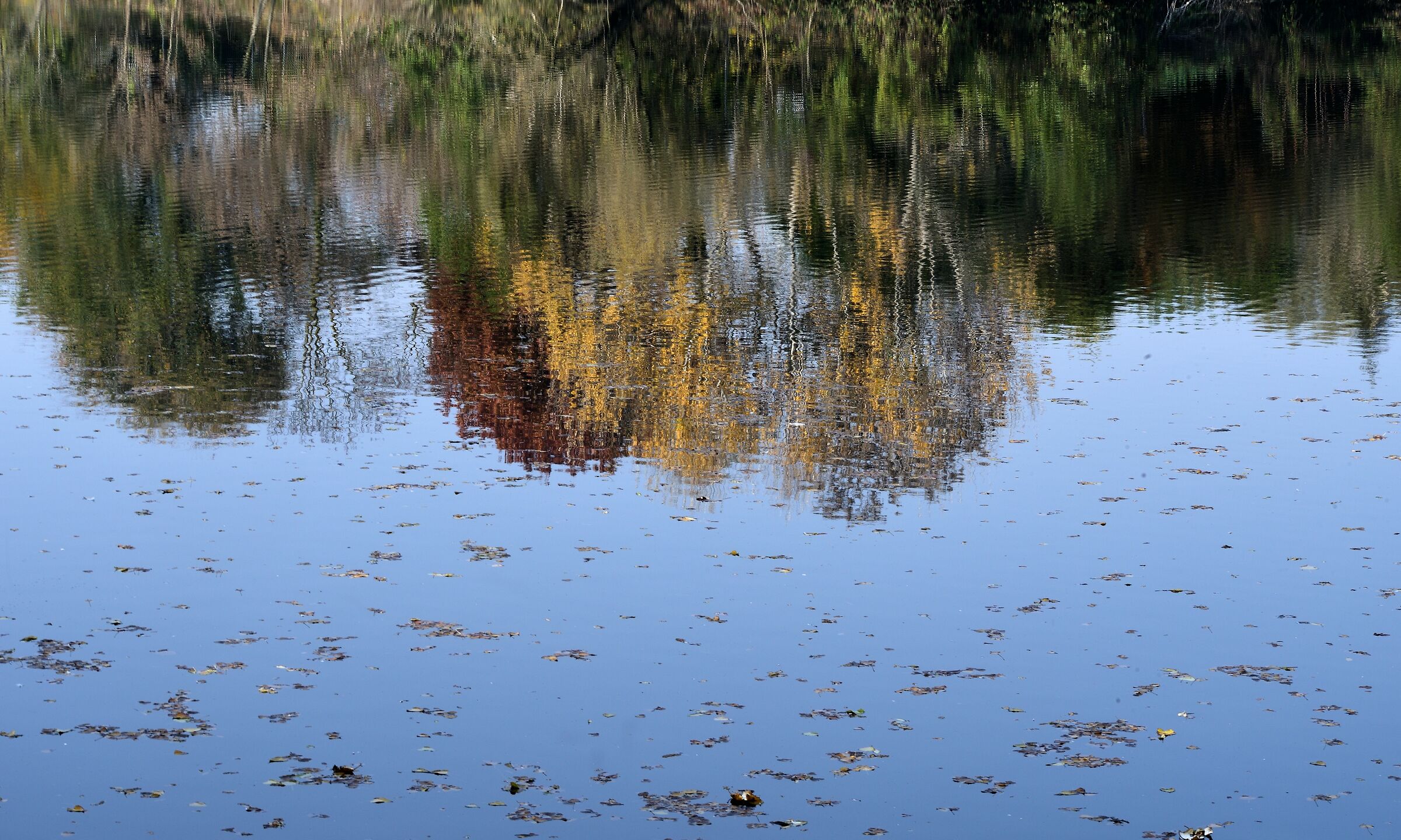 Autunno allo specchio