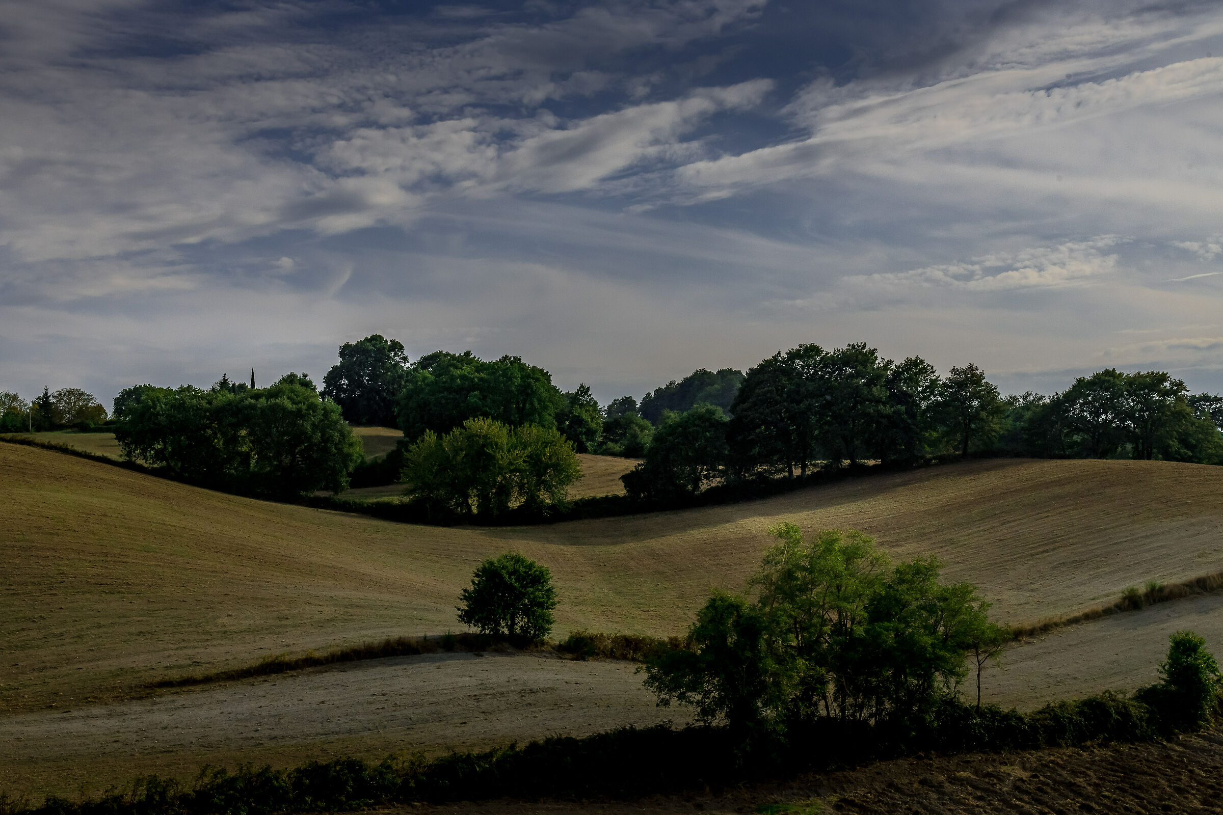 Maremma and then Maremma