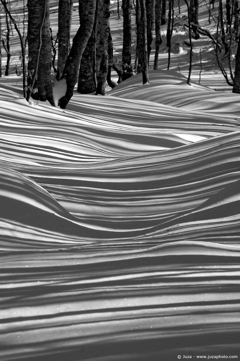 Shadows on the snow, 005170