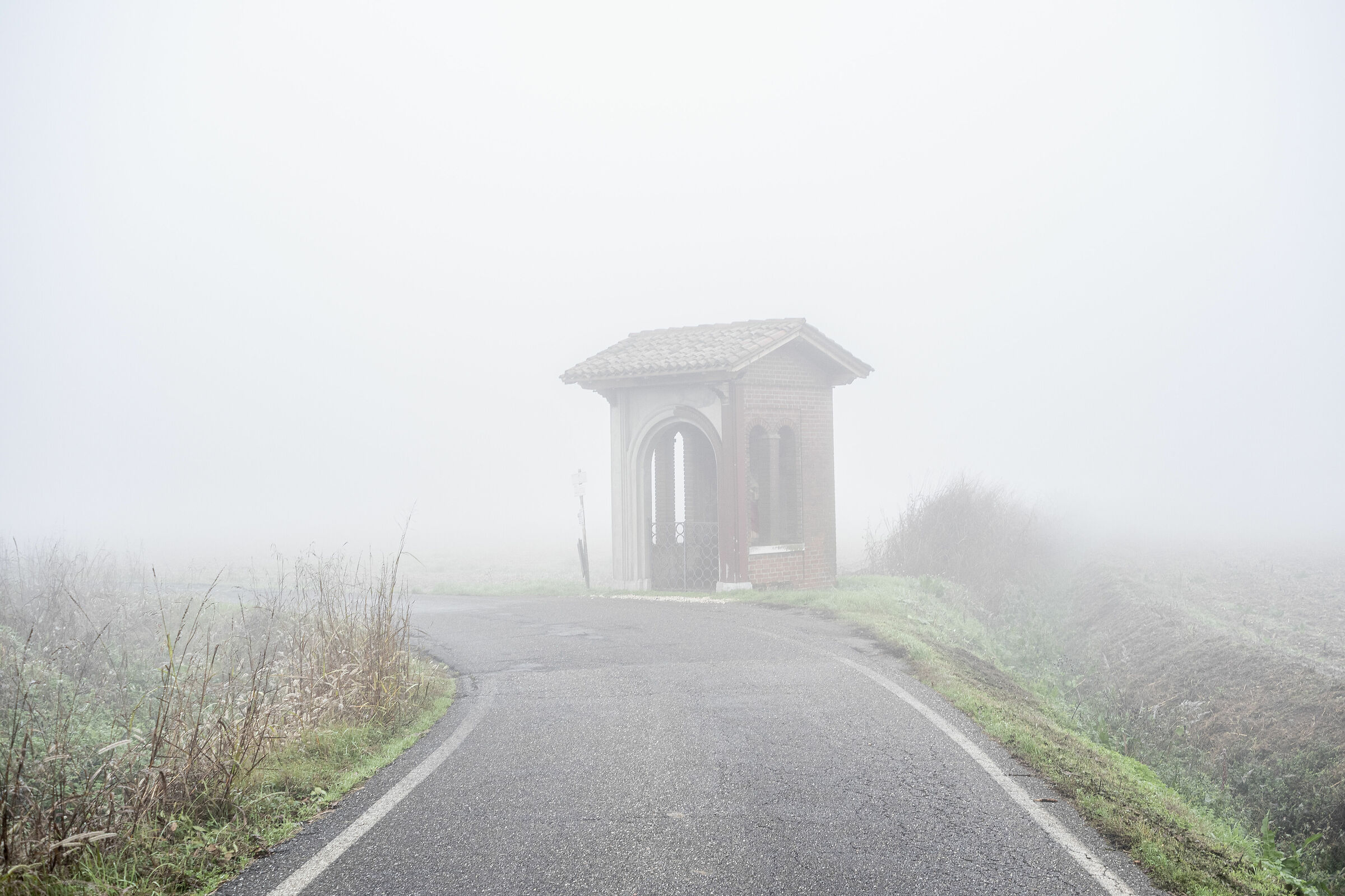 Colori nella nebbia