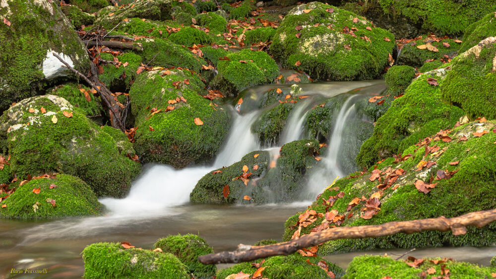 Sorgente torrente Arzino