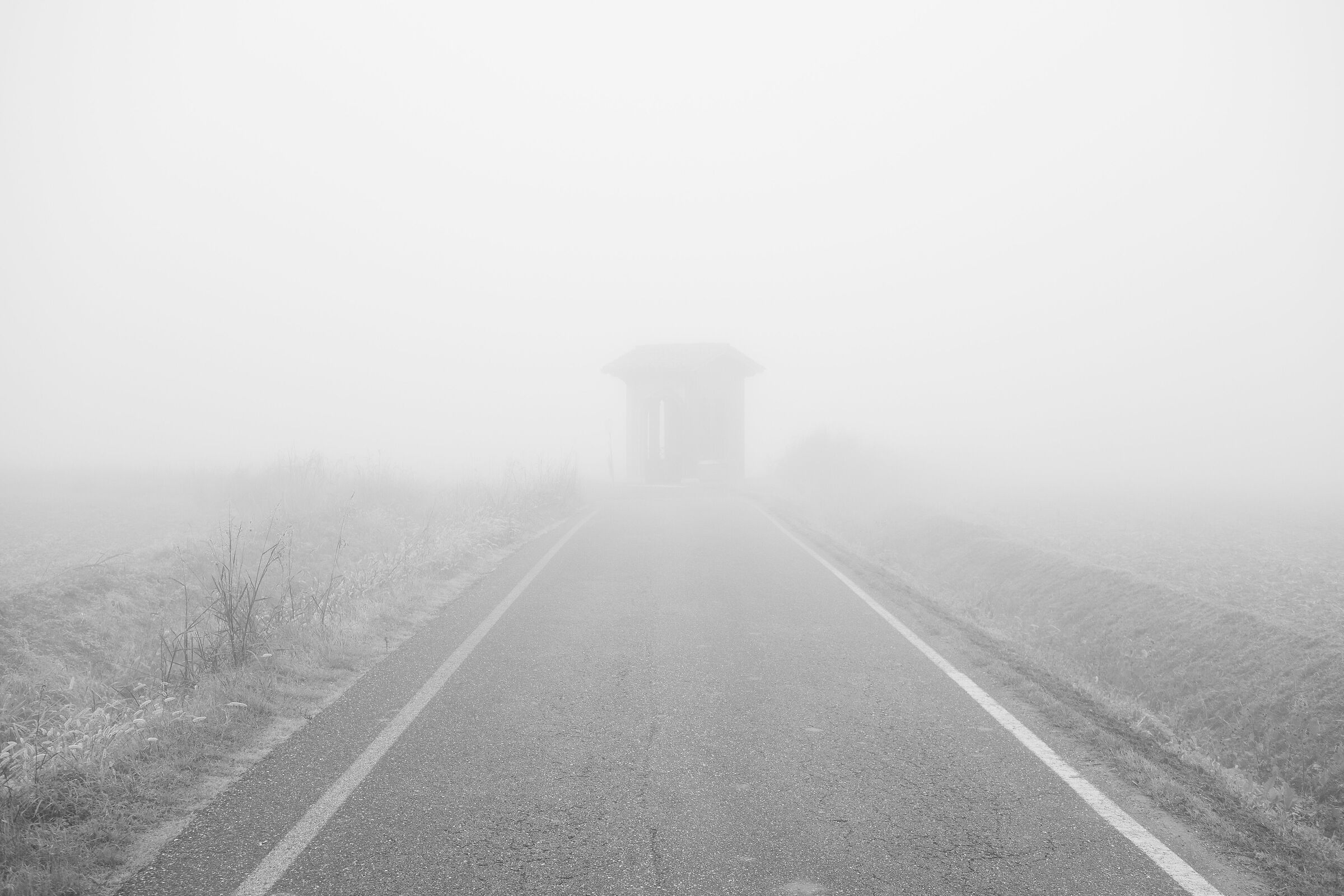 Suddenly from the fog...