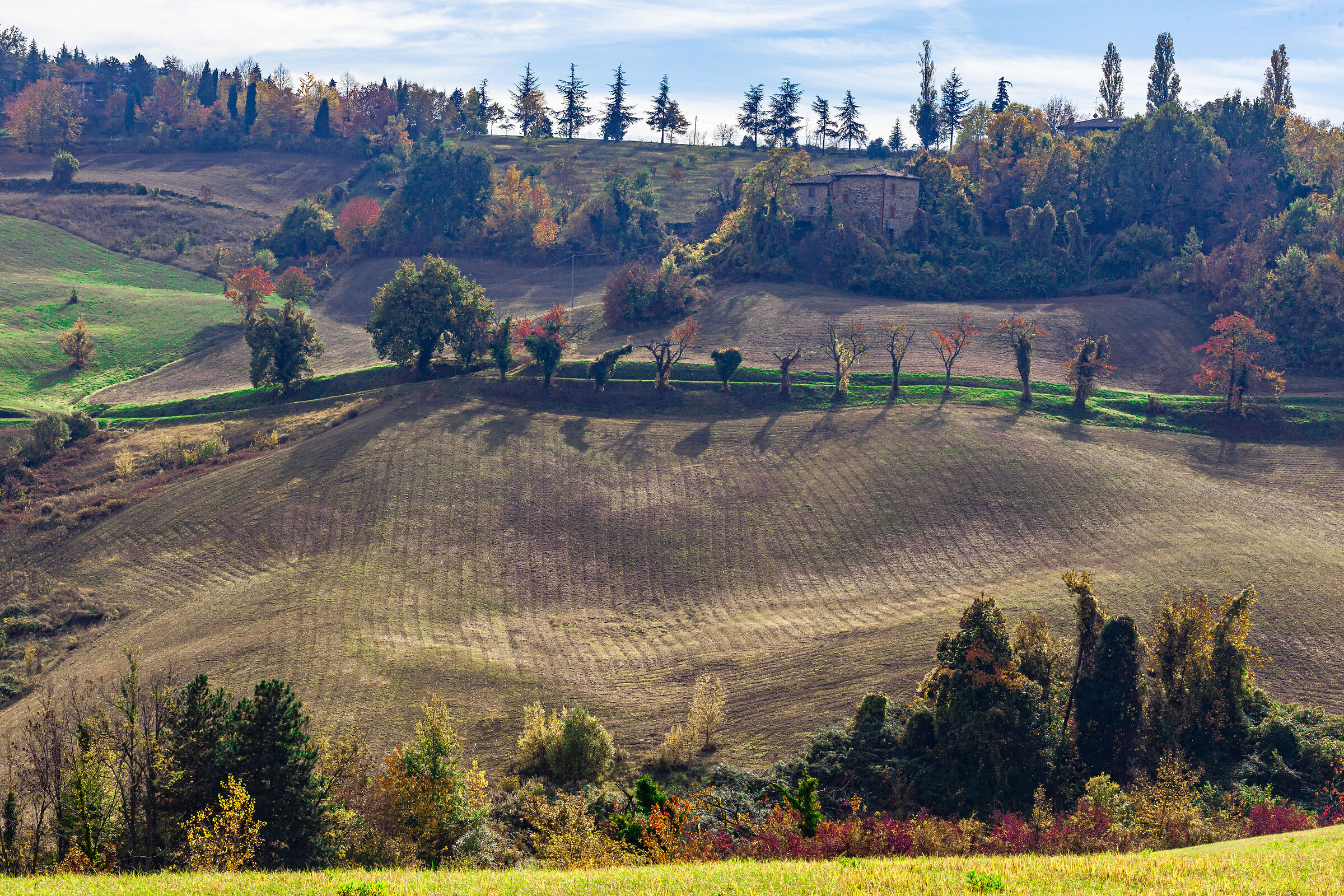 View from the Bolognese hills